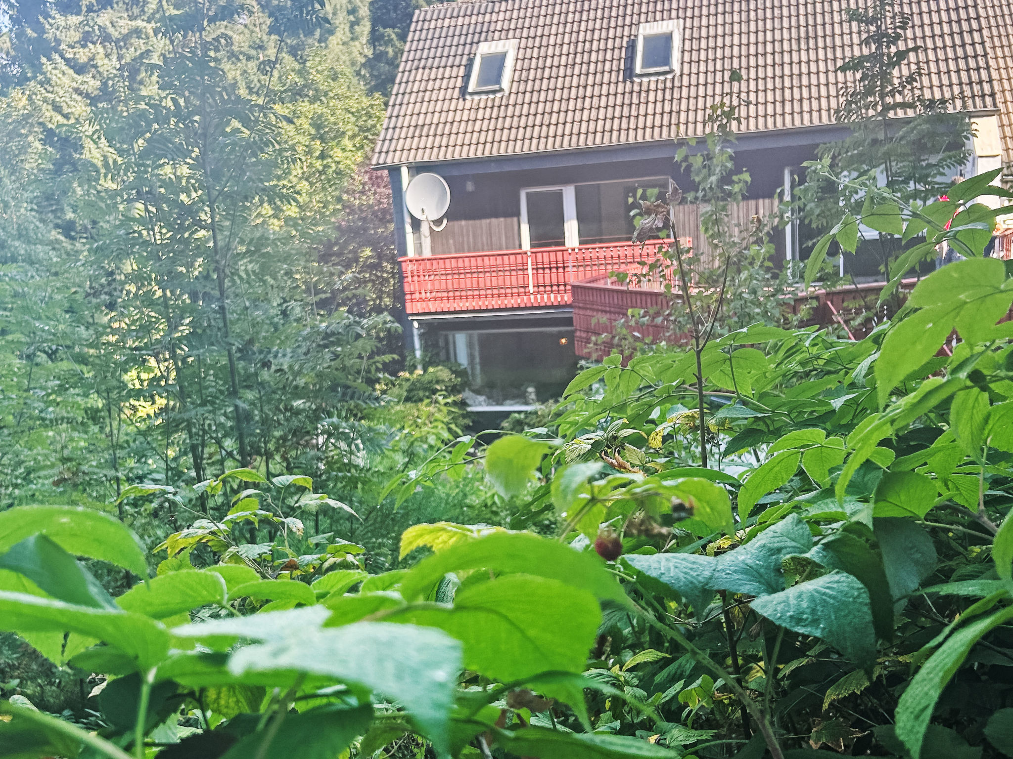 Maison Salamanderwaldhaus – Extérieur de la maison, photo 5 sur 16