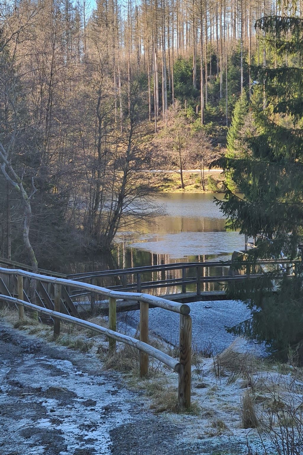 Fewo Jola 99952-Drinnen