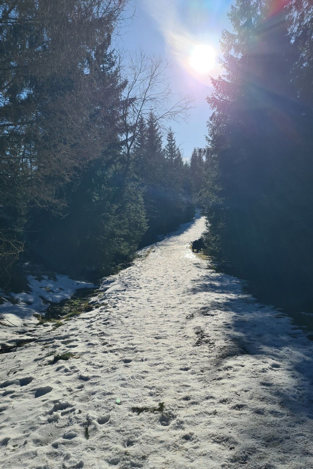 Fewo Jola 99952-Drinnen