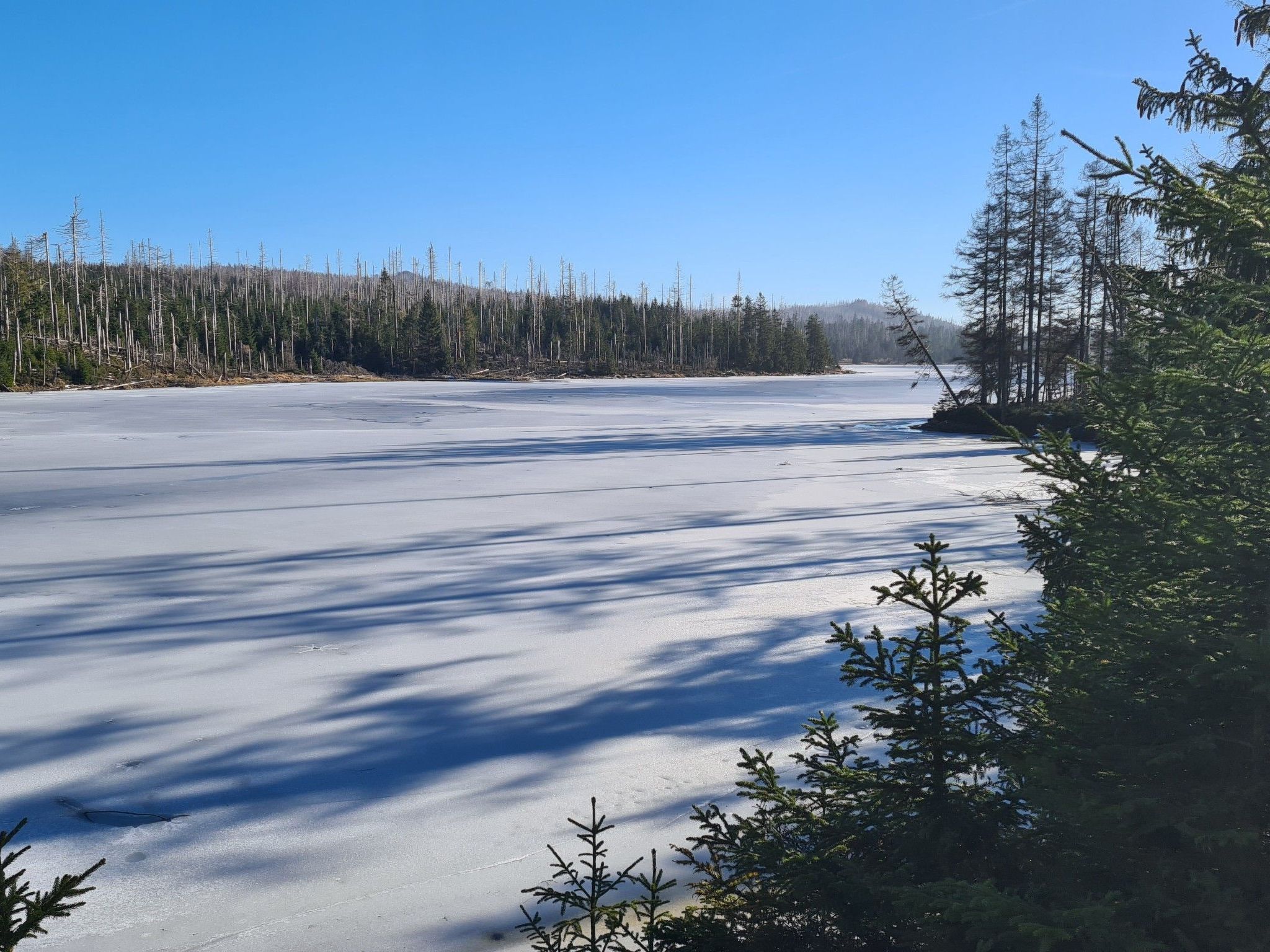 Fewo Jola 99952-Drinnen