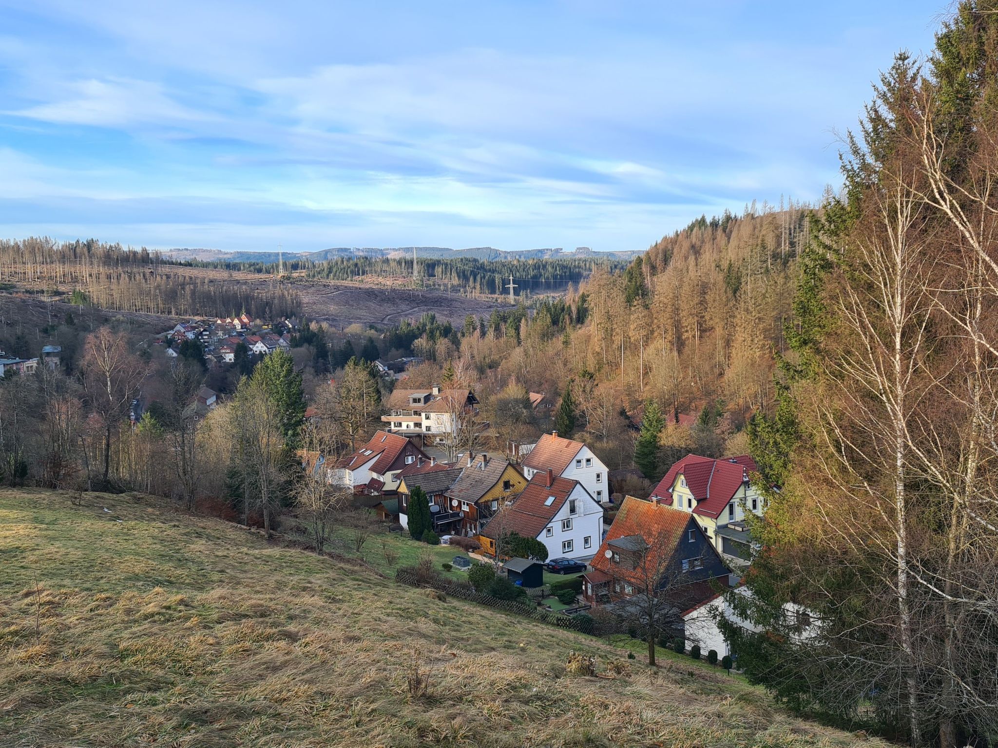 Fewo Jola 99952-Drinnen