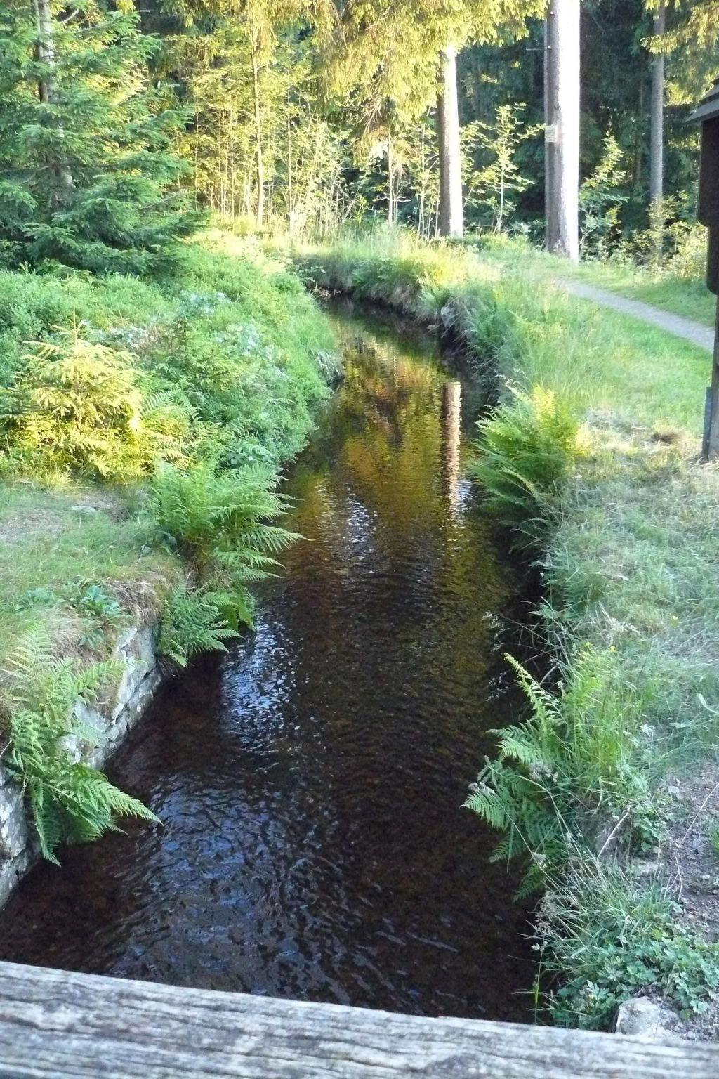 Vier Jahreszeiten 6-Drinnen
