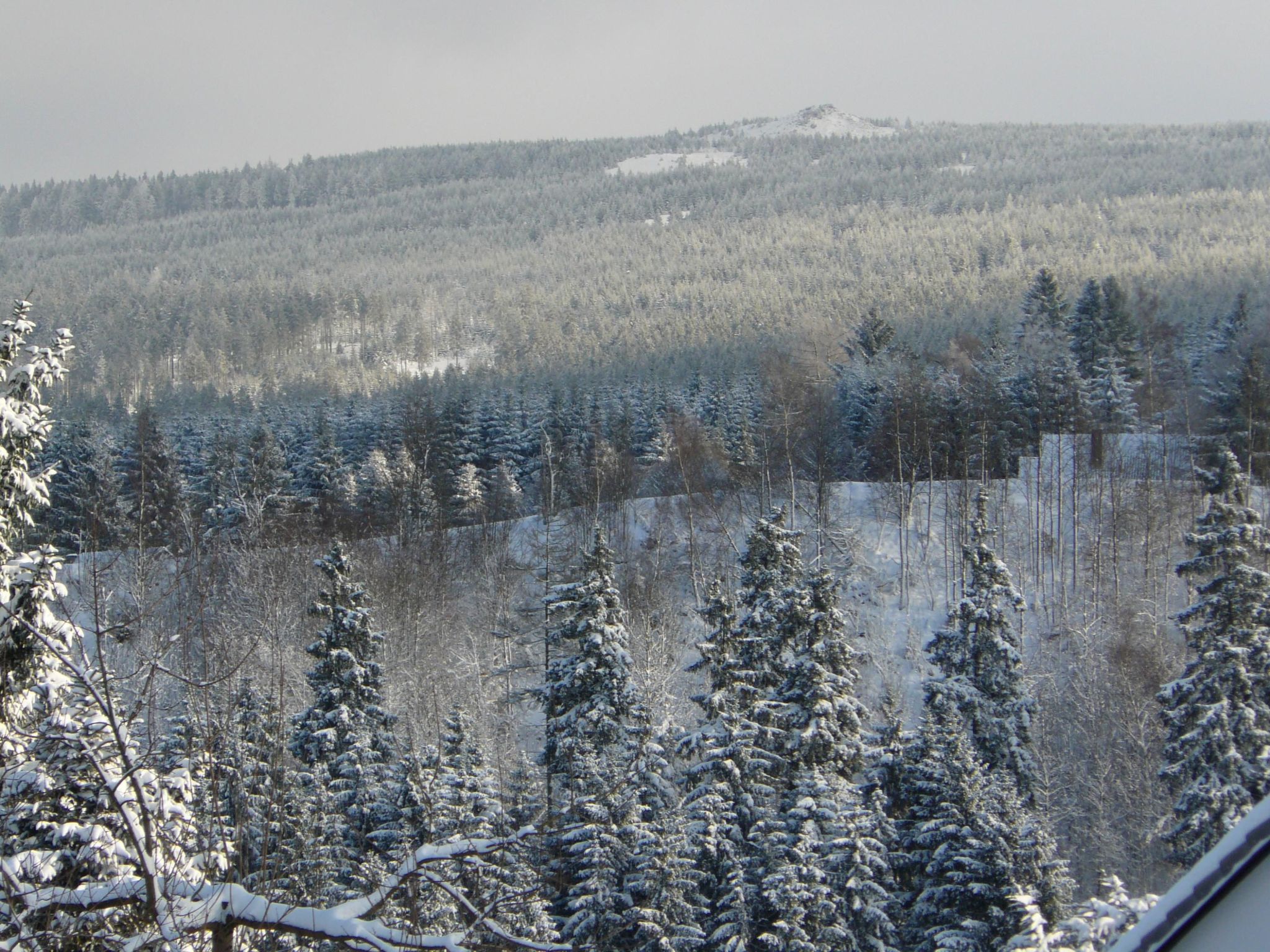 Vier Jahreszeiten 6-Drinnen
