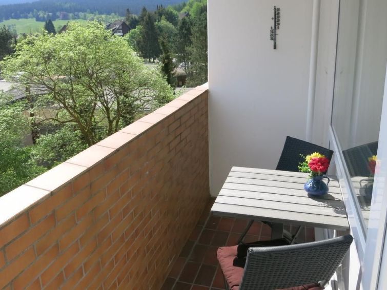 Bergzicht en rust in dit sfeervolle appartement in Altenau