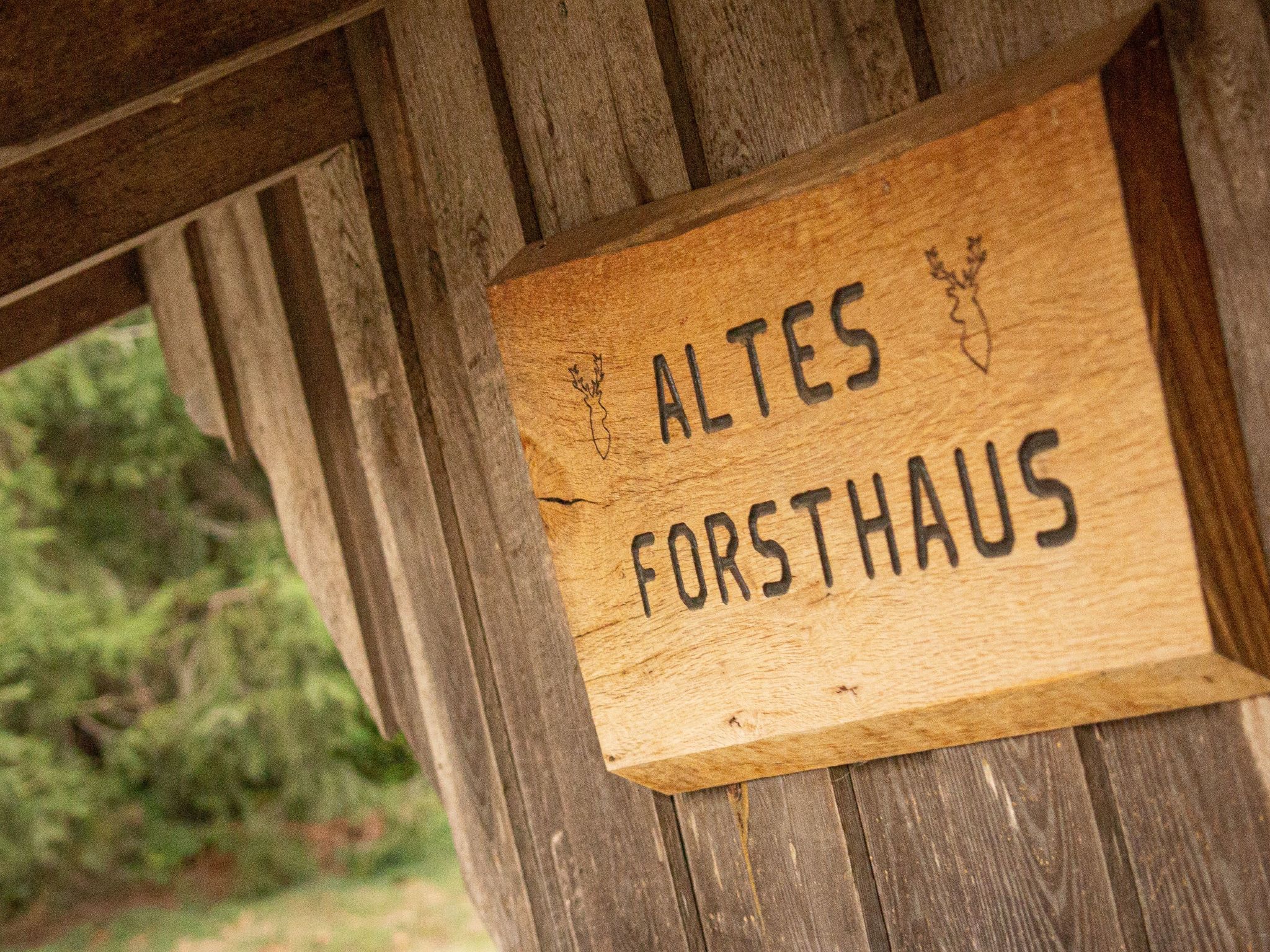 Appartement in Eggeröder Brunnen mit Grill, Garten und Terrasse