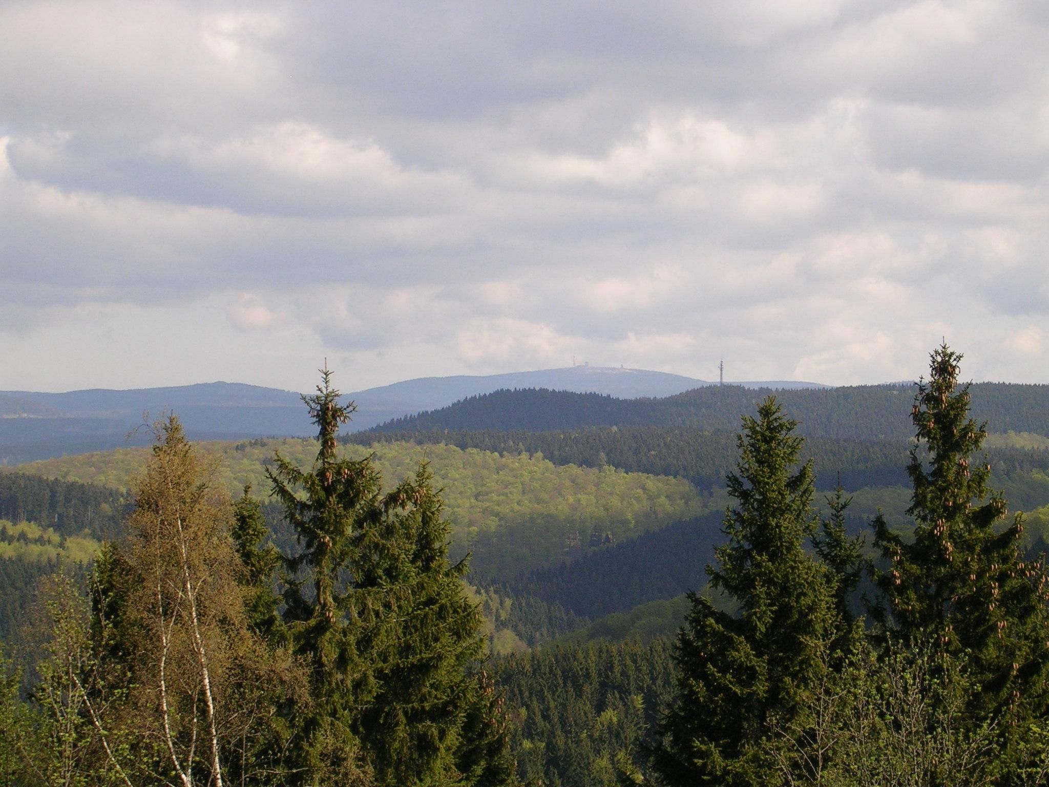 Der Falkenhorst-Drinnen