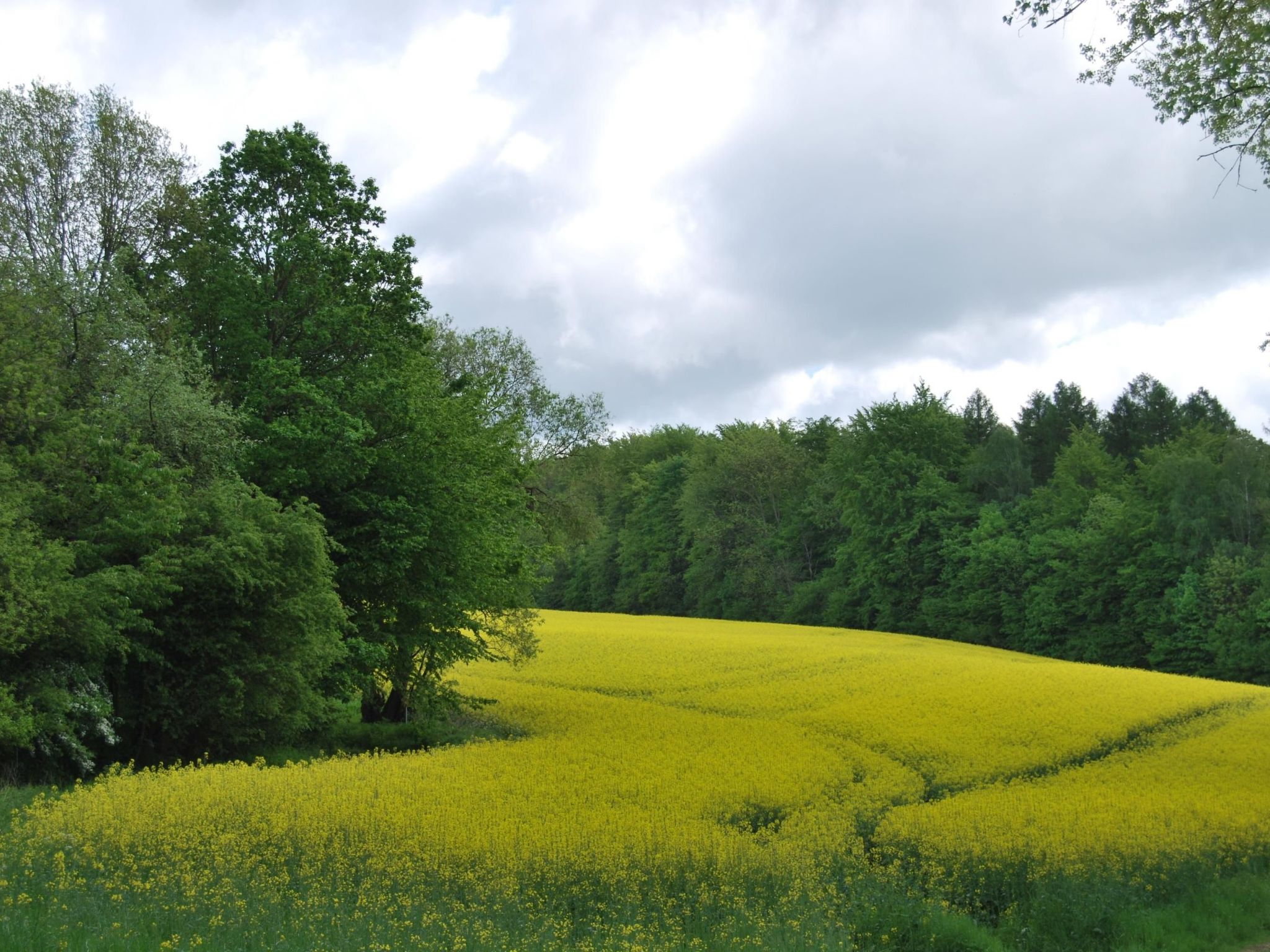 Fewo Stricker 12-Drinnen