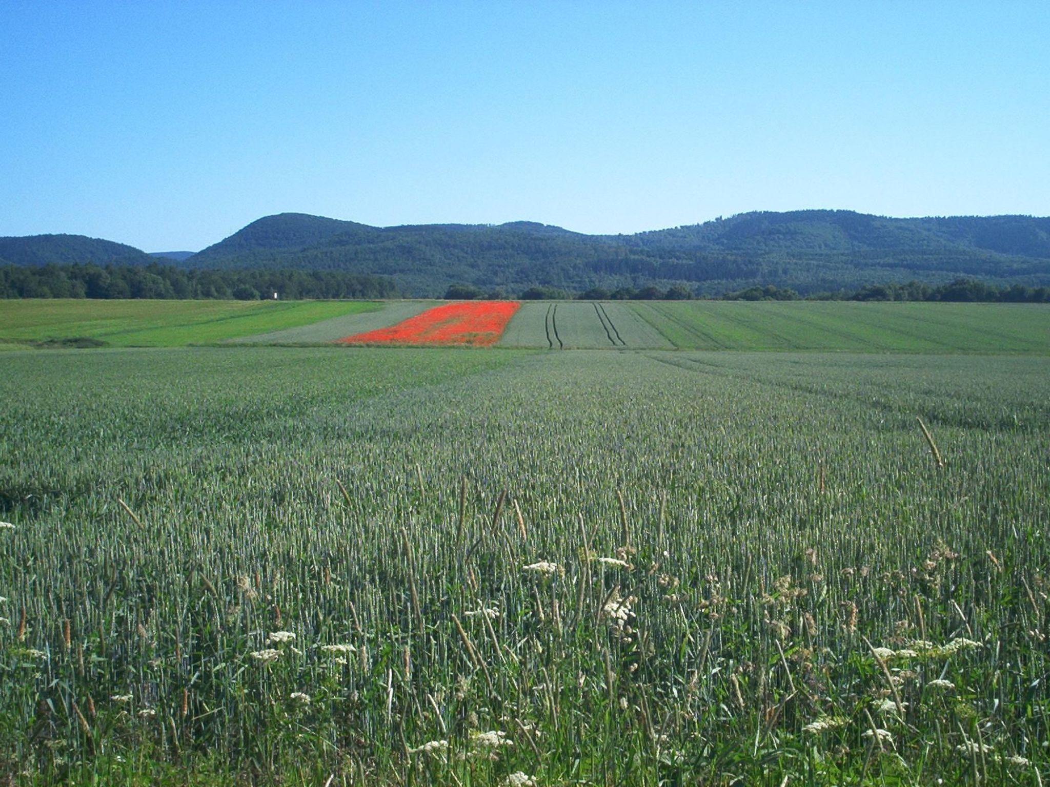 Fewo Stricker 12-Drinnen