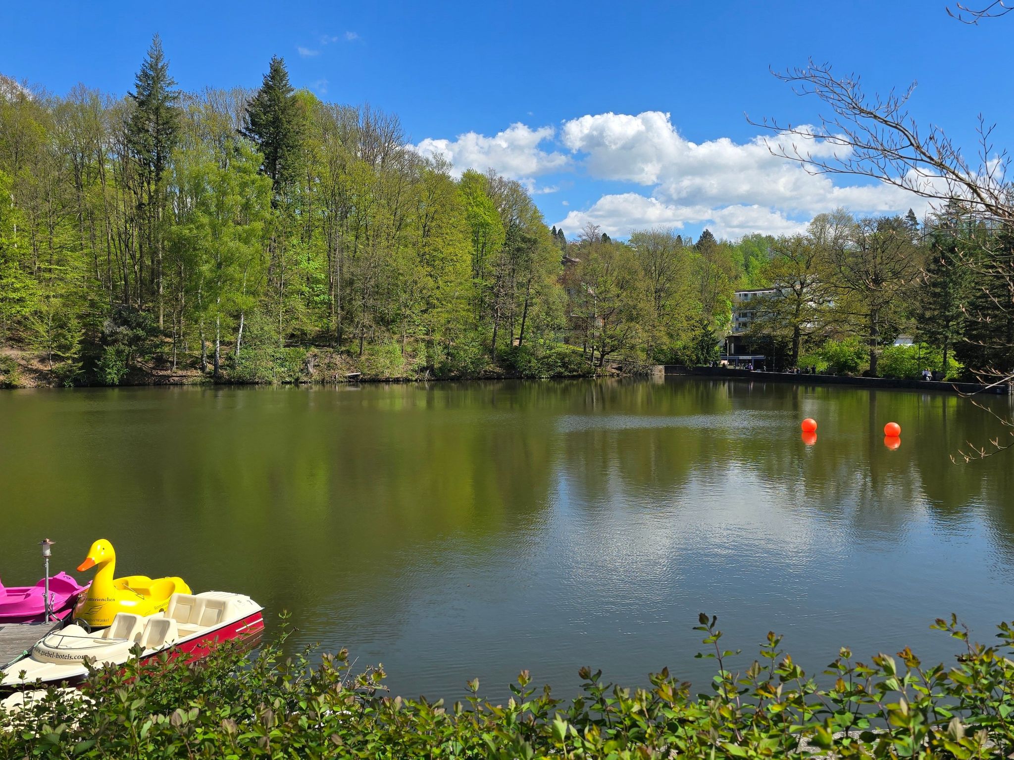 WALDLIEBE ♡-Drinnen