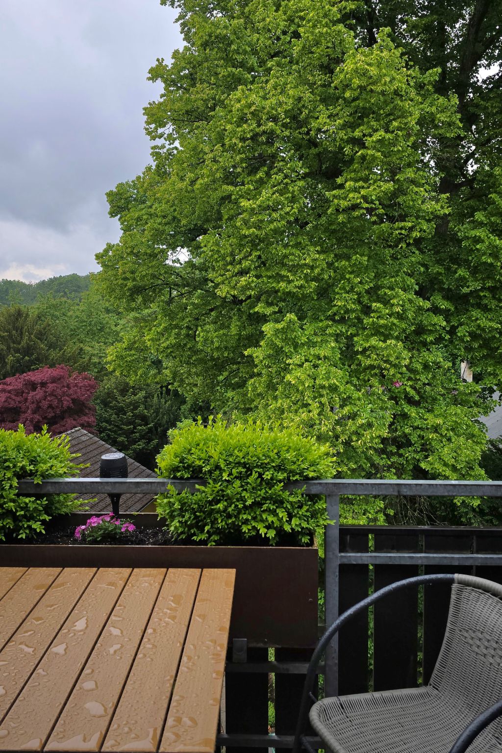 WALDLIEBE ♡-Drinnen