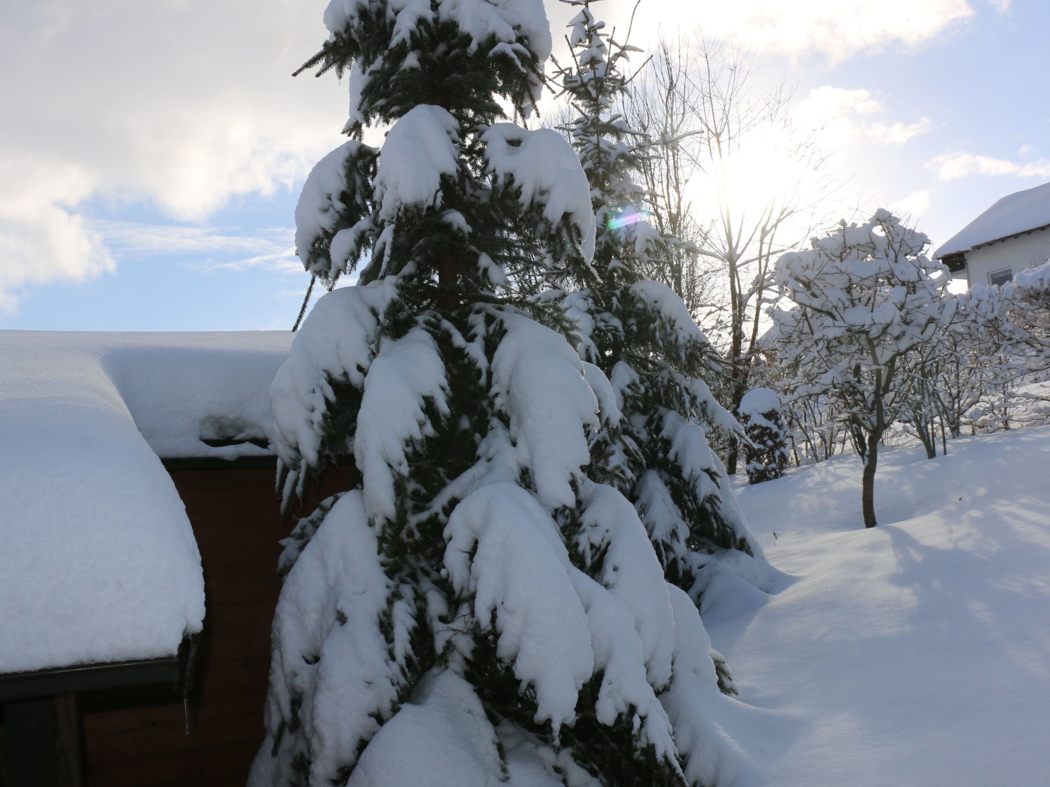 Idyllisch gelegenes Blockhaus - Hunde willkommen-Drinnen