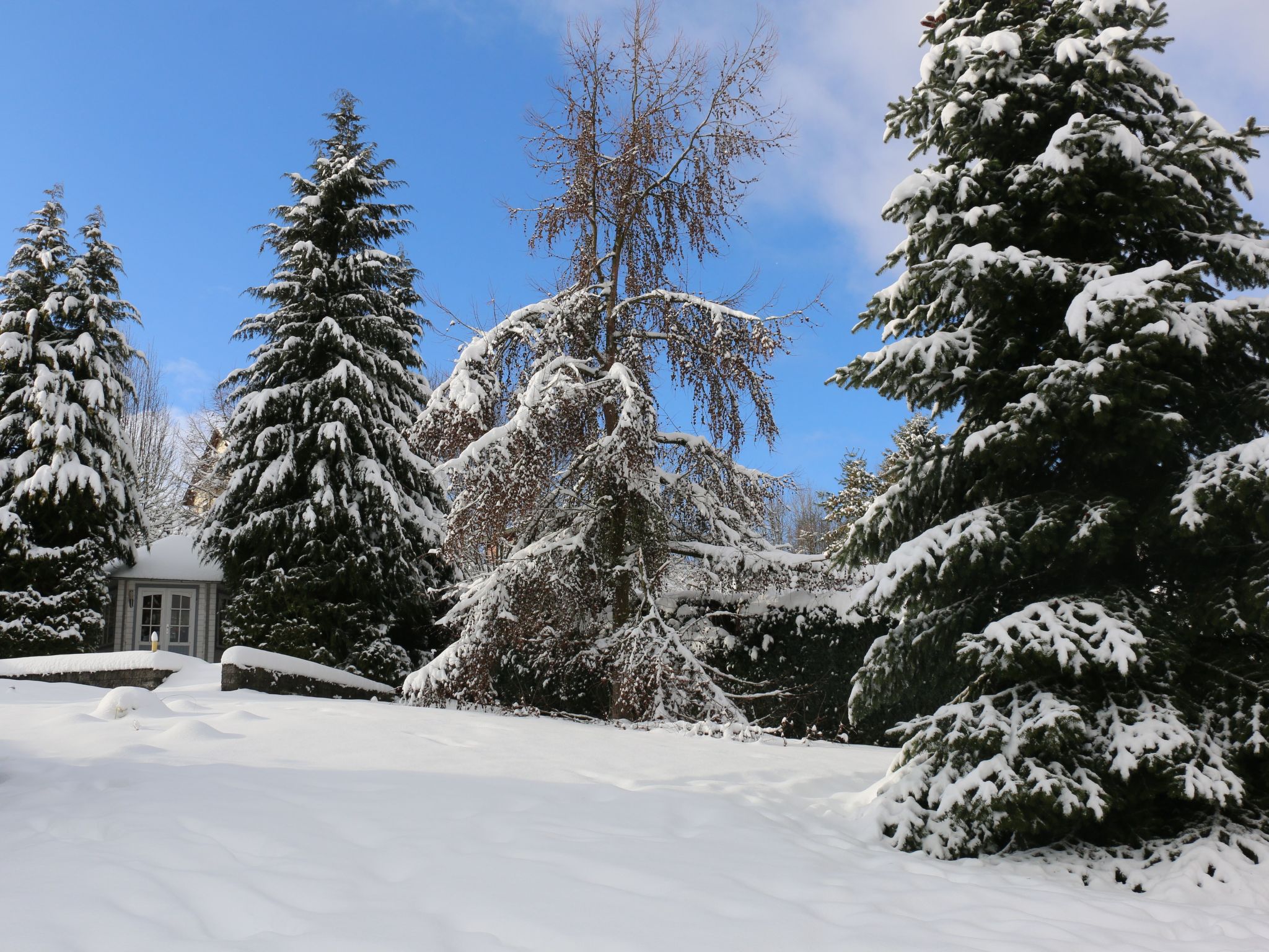 In Steina mit Kleinem Balkon-Drinnen