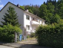 Appartement in Steina mit Terrasse