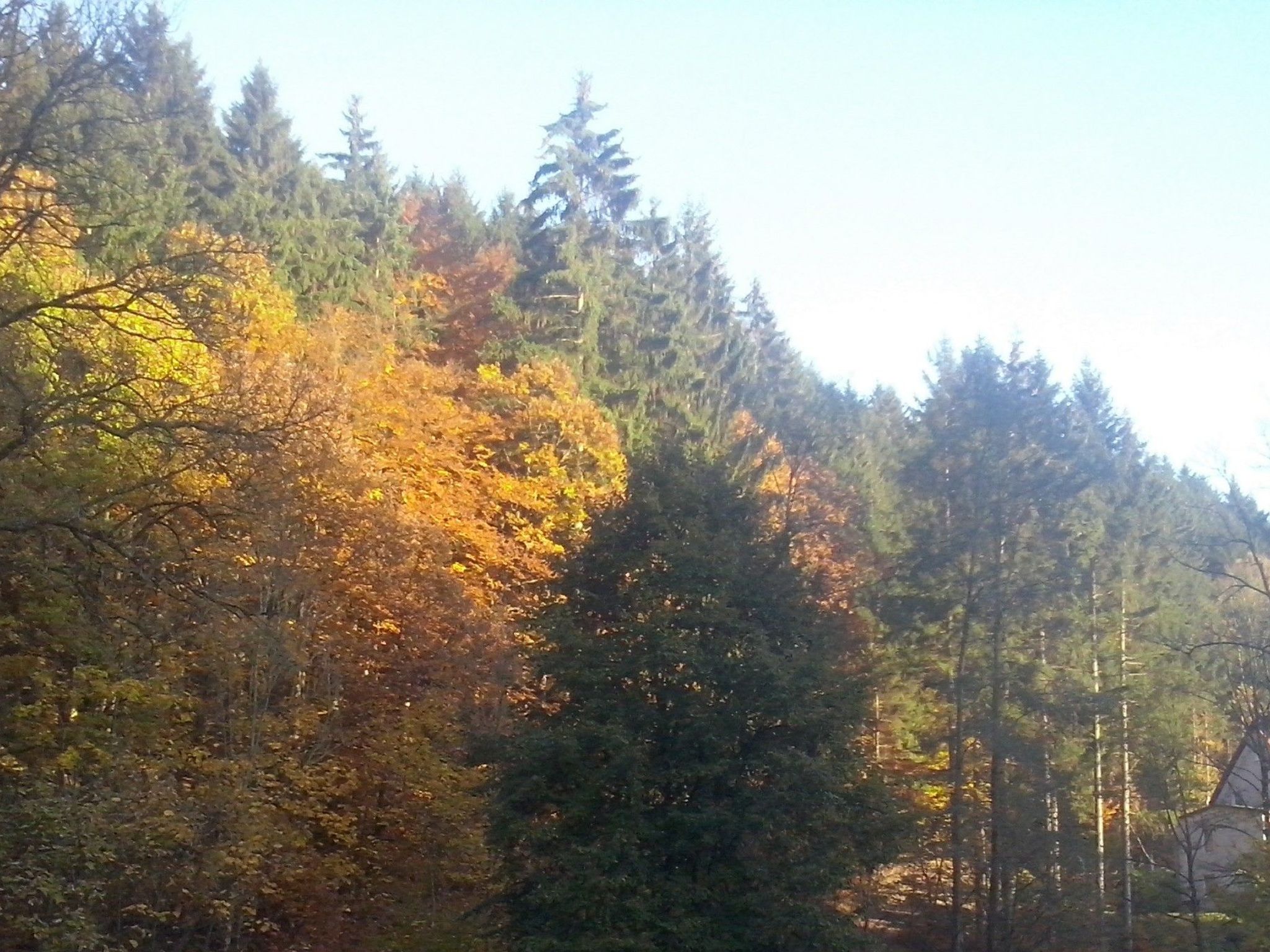 Appartement in Steina mit Terrasse-Drinnen