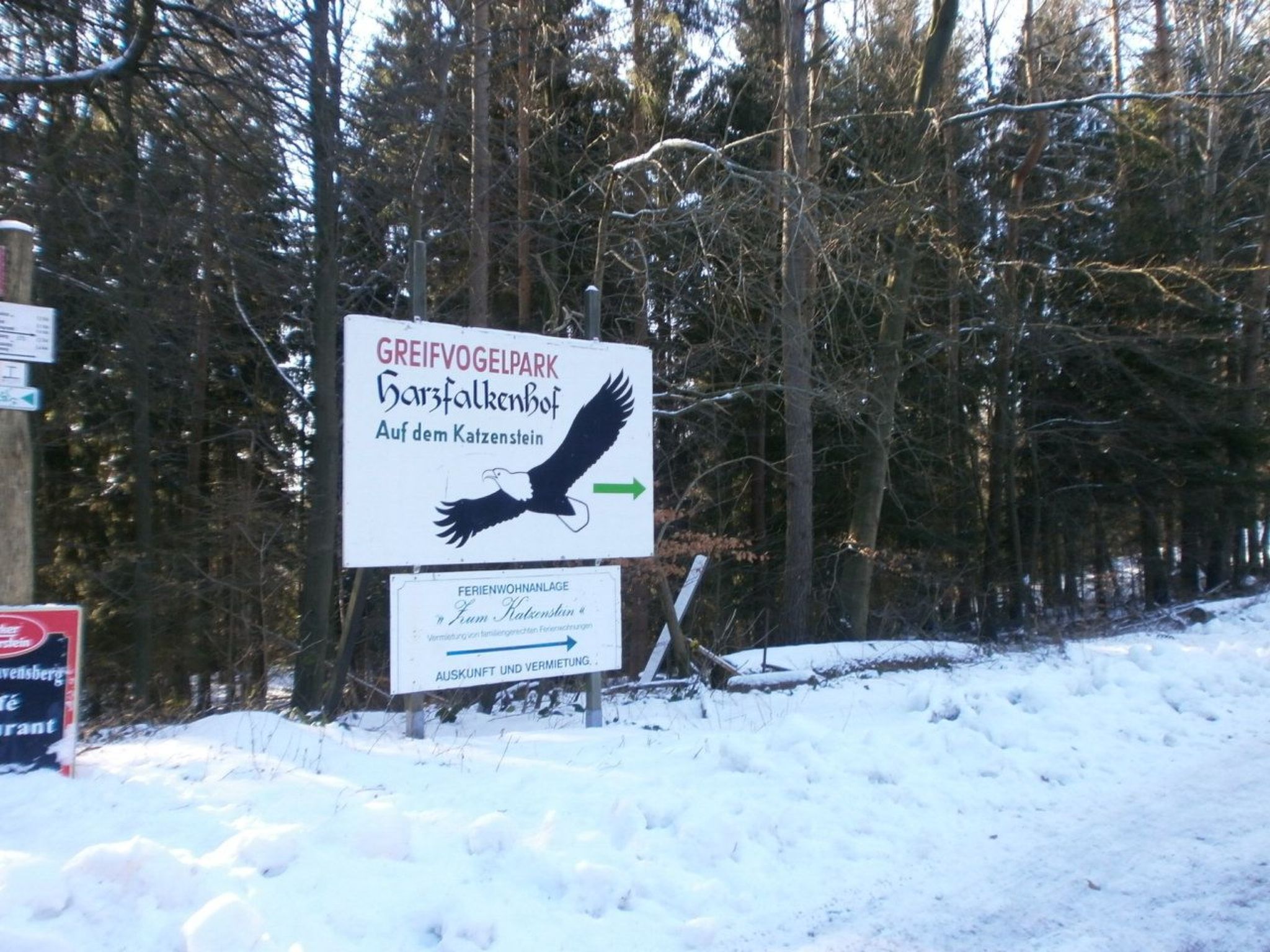 Appartement in Steina mit Terrasse-Drinnen