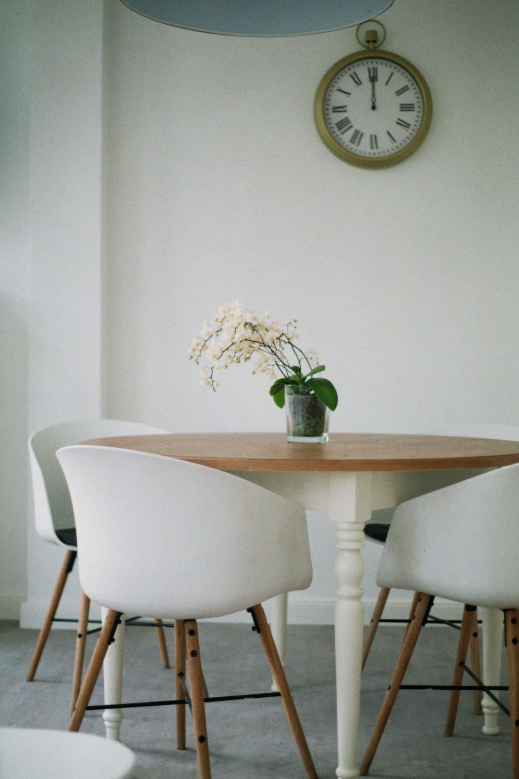 Schöne Moderne Ferienwohnung für 2-4 Personen + Hund in Sankt Andreasberg im Ob