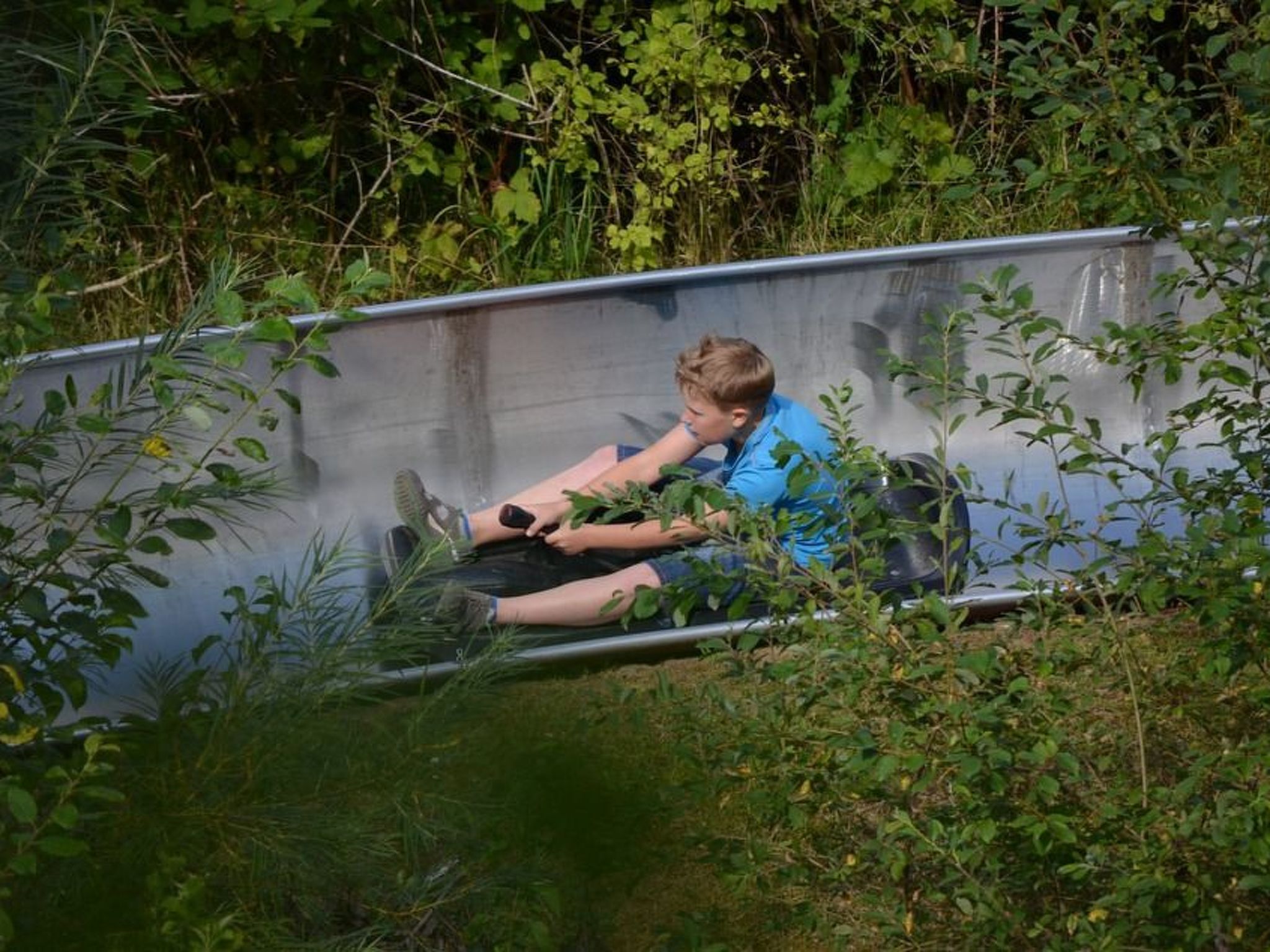 Schöne Moderne Ferienwohnung für 2-4 Personen + Hund in Sankt Andreasberg im Ob-Image-tags.info