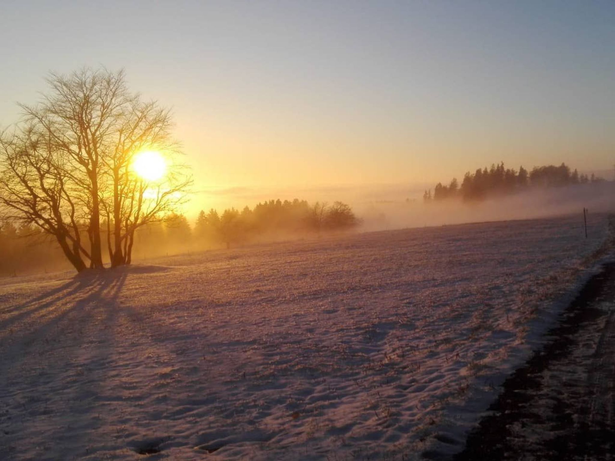 Schöne Moderne Ferienwohnung für 2-4 Personen + Hund in Sankt Andreasberg im Ob-Image-tags.info