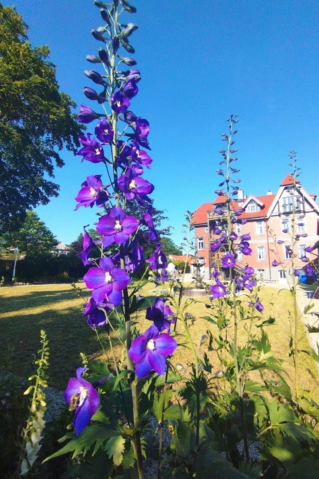 Superior Komfort Suite mit Wallbox-Image-tags.info