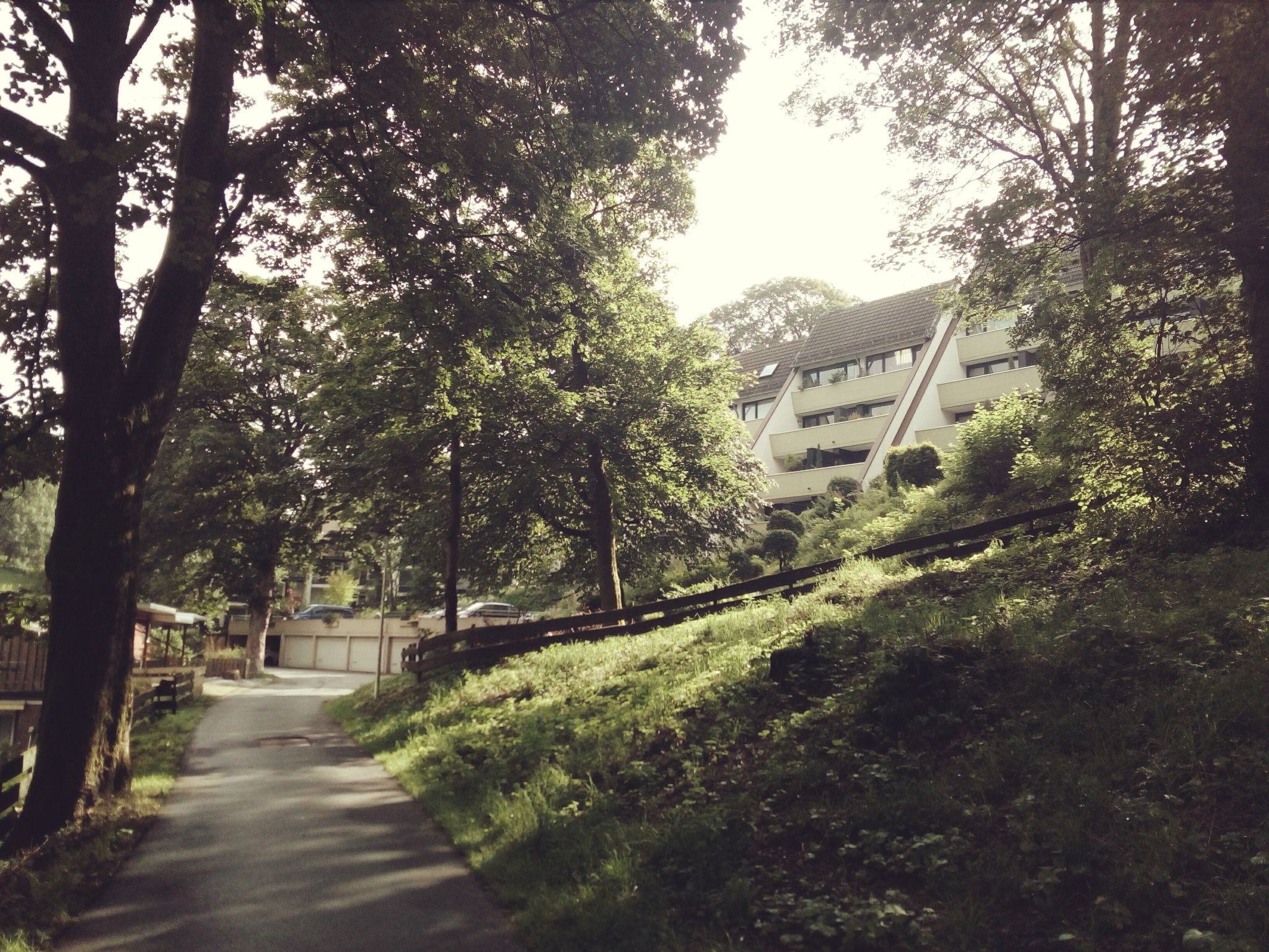 Harzgrün-Image-tags.info