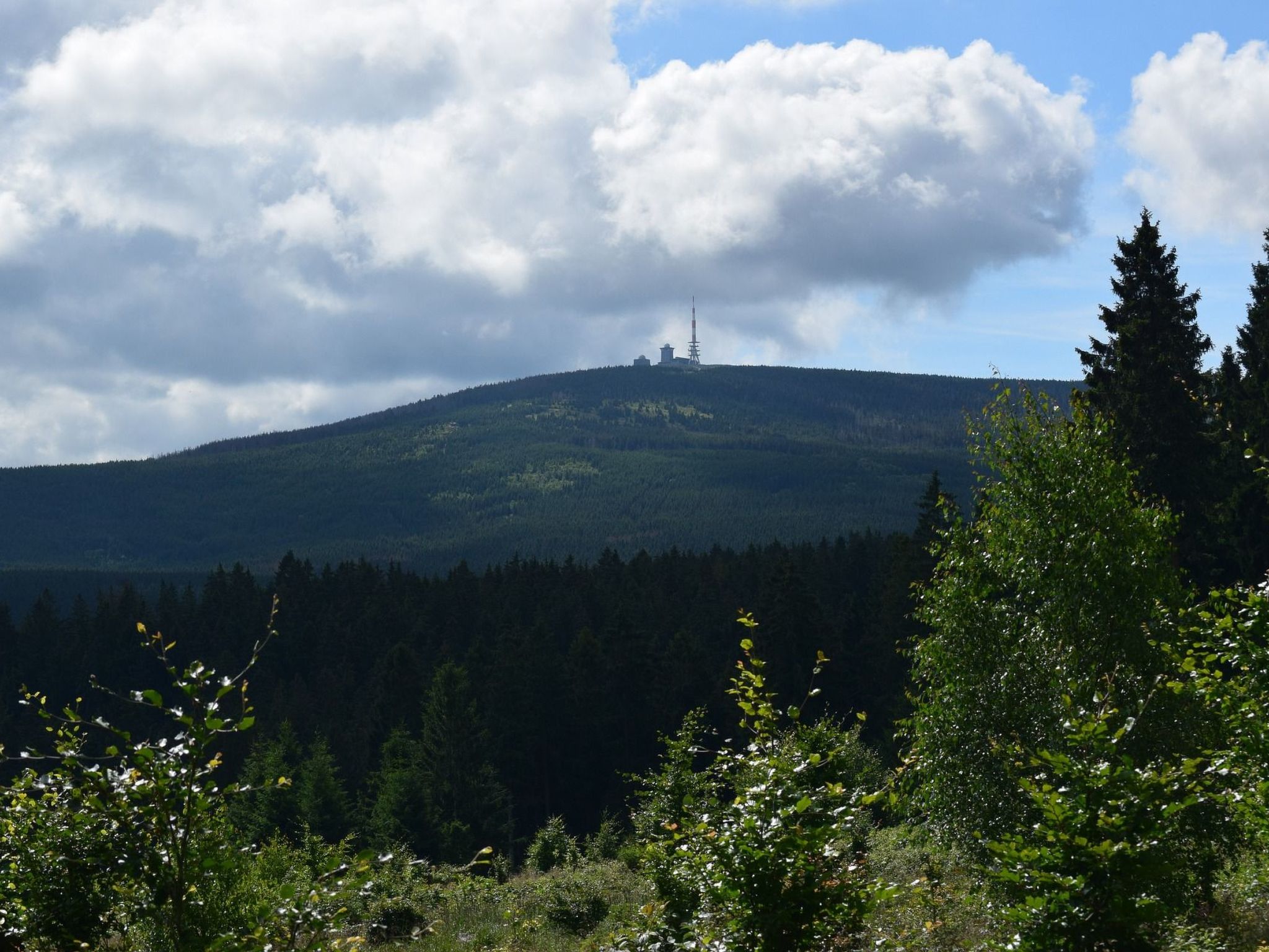 Wohnung Julius 4 - gemütlich und kinderfreundlich-Image-tags.info