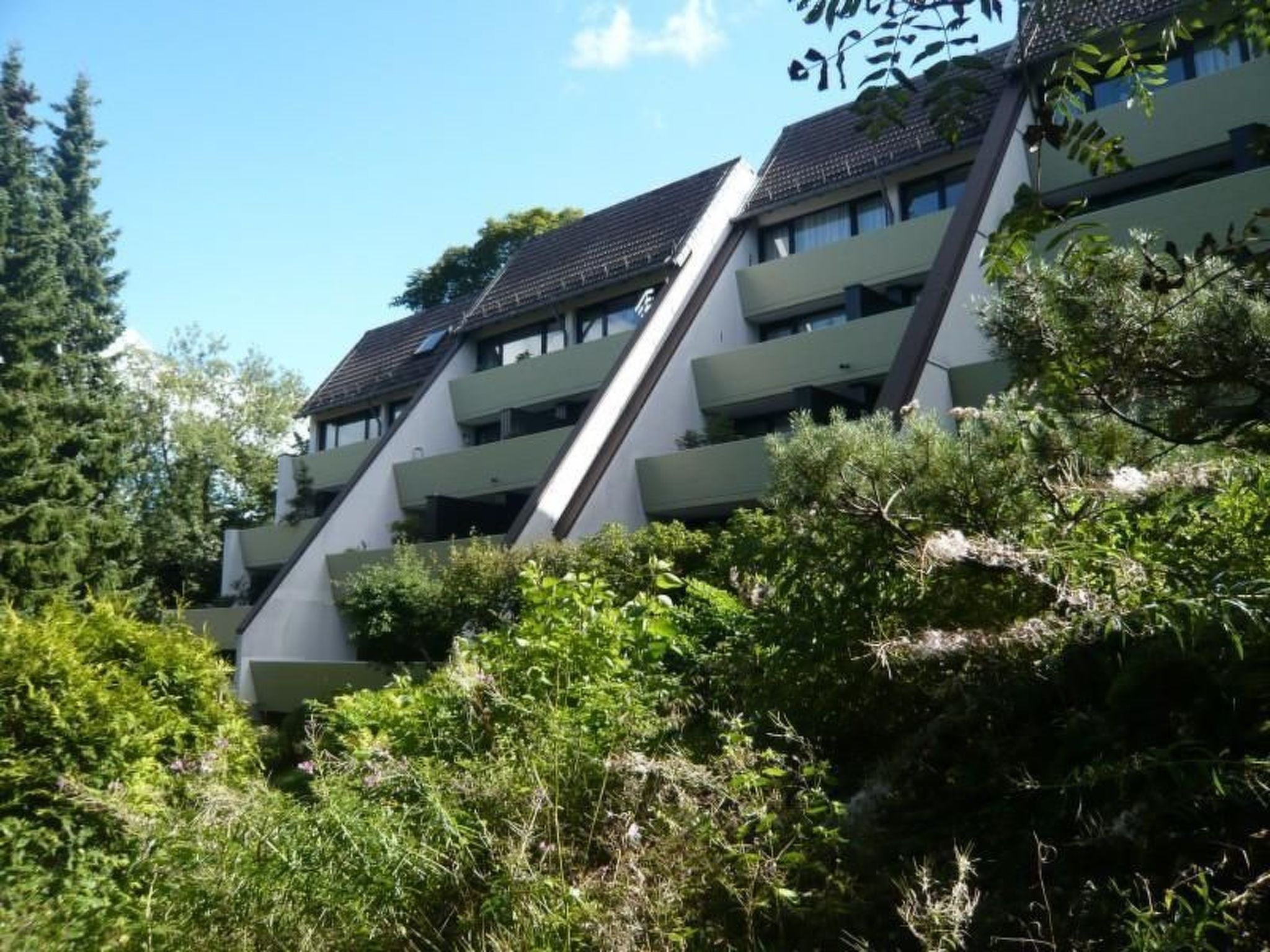 Apartment Harzgrün 2 - schön,ruhig und mittendrin - - Dedans