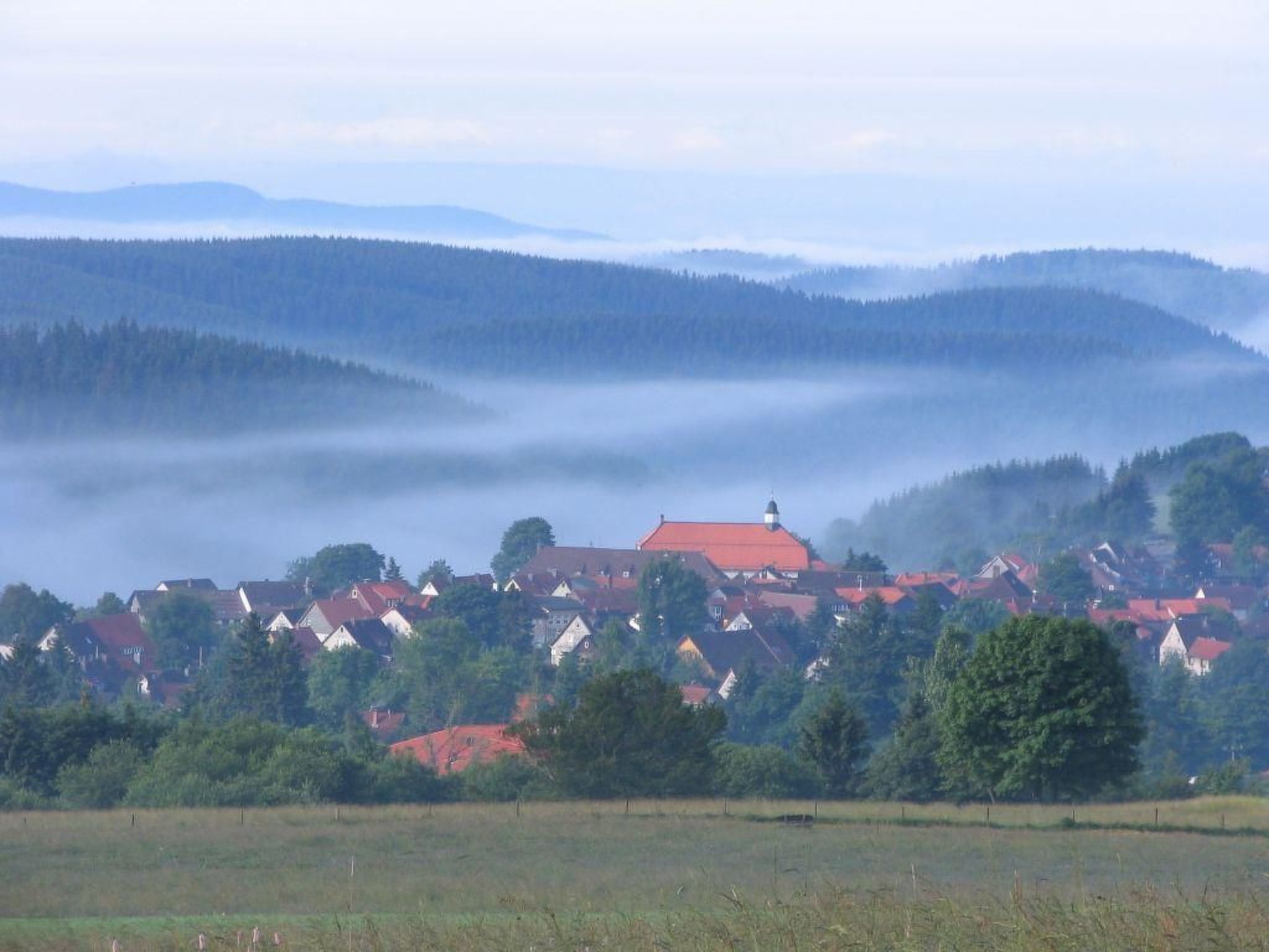 Apartment Harzgrün 2 - schön,ruhig und mittendrin -