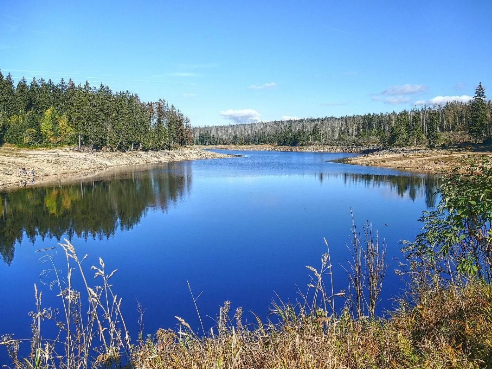 Apartment Harzgrün 2 - schön,ruhig und mittendrin -
