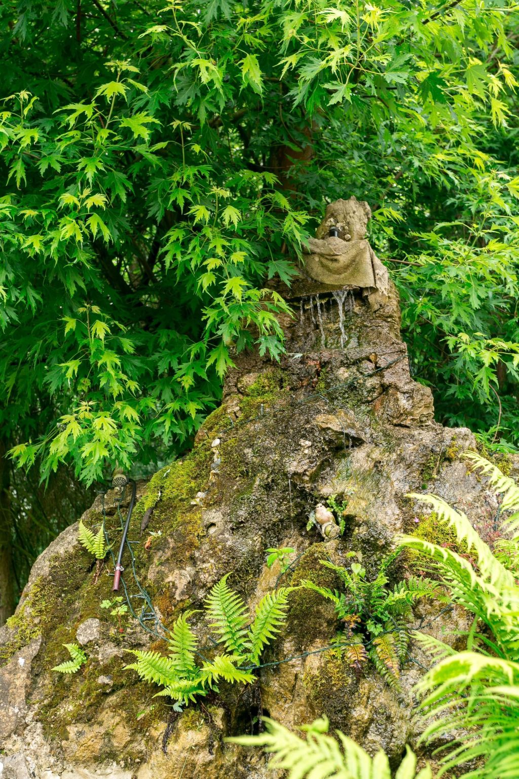 Tolles Appartement in Walkenried-Binnen