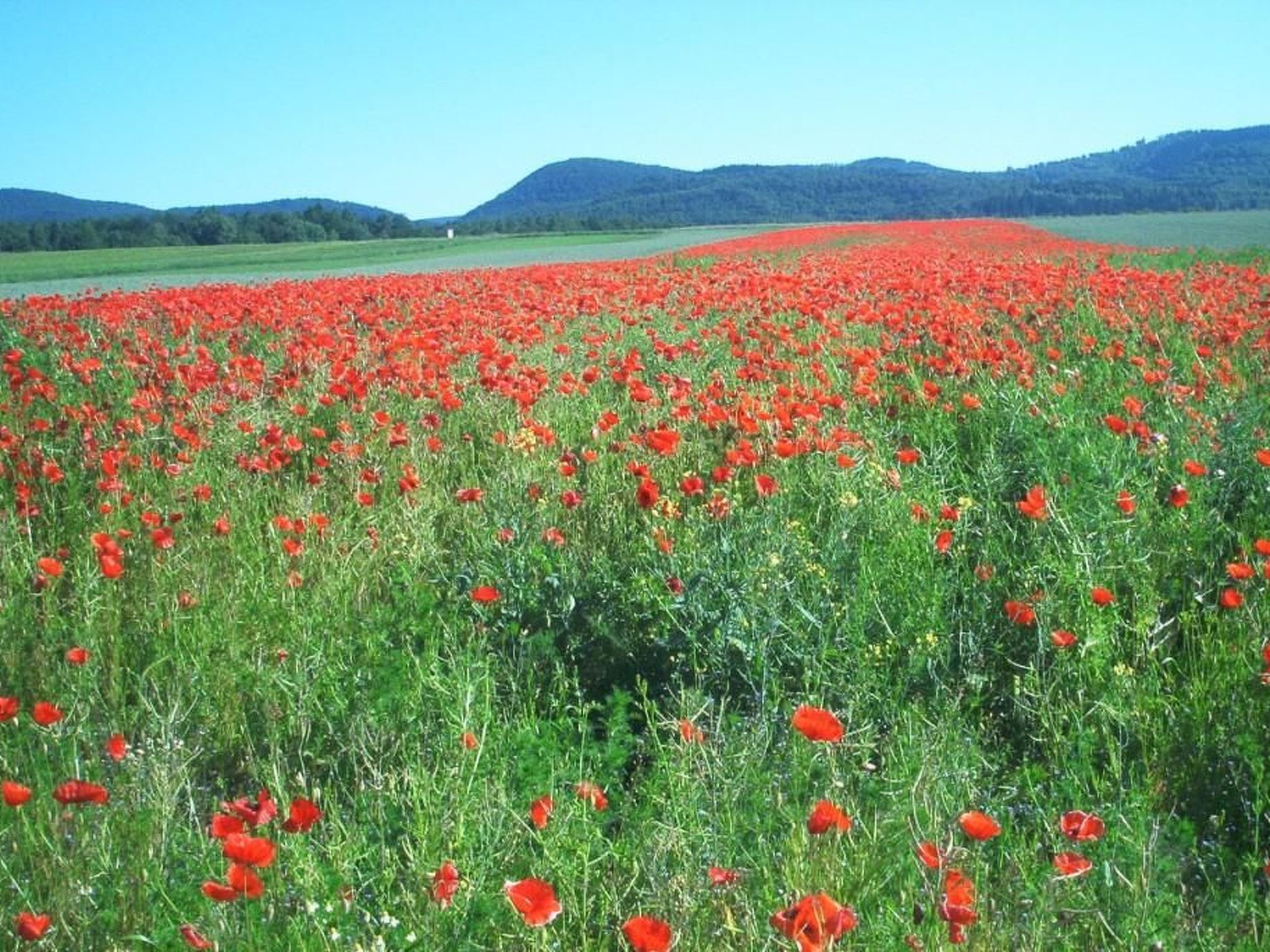 Fewo Stricker 32-Drinnen
