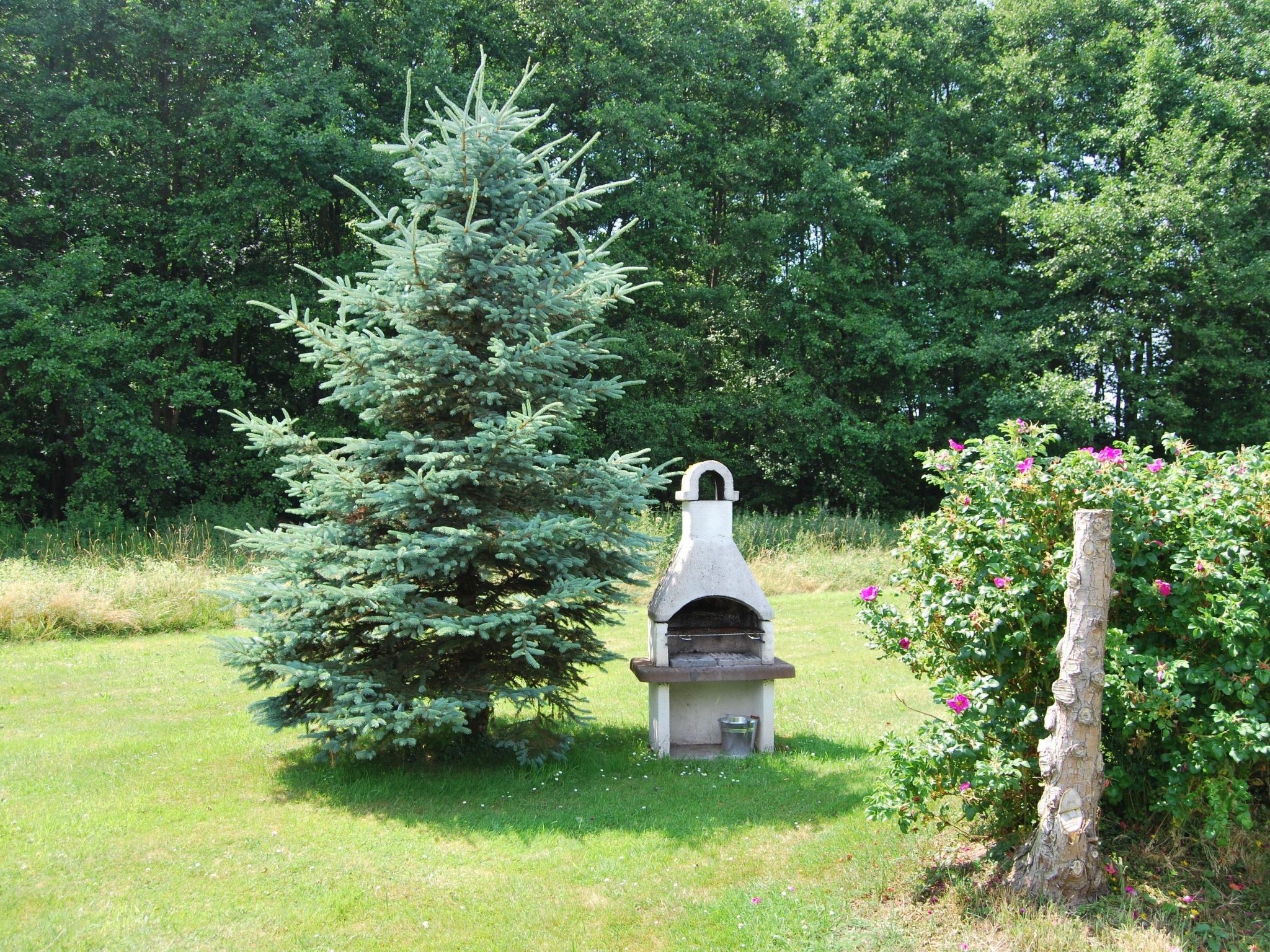 Fewo Stricker 22-Drinnen