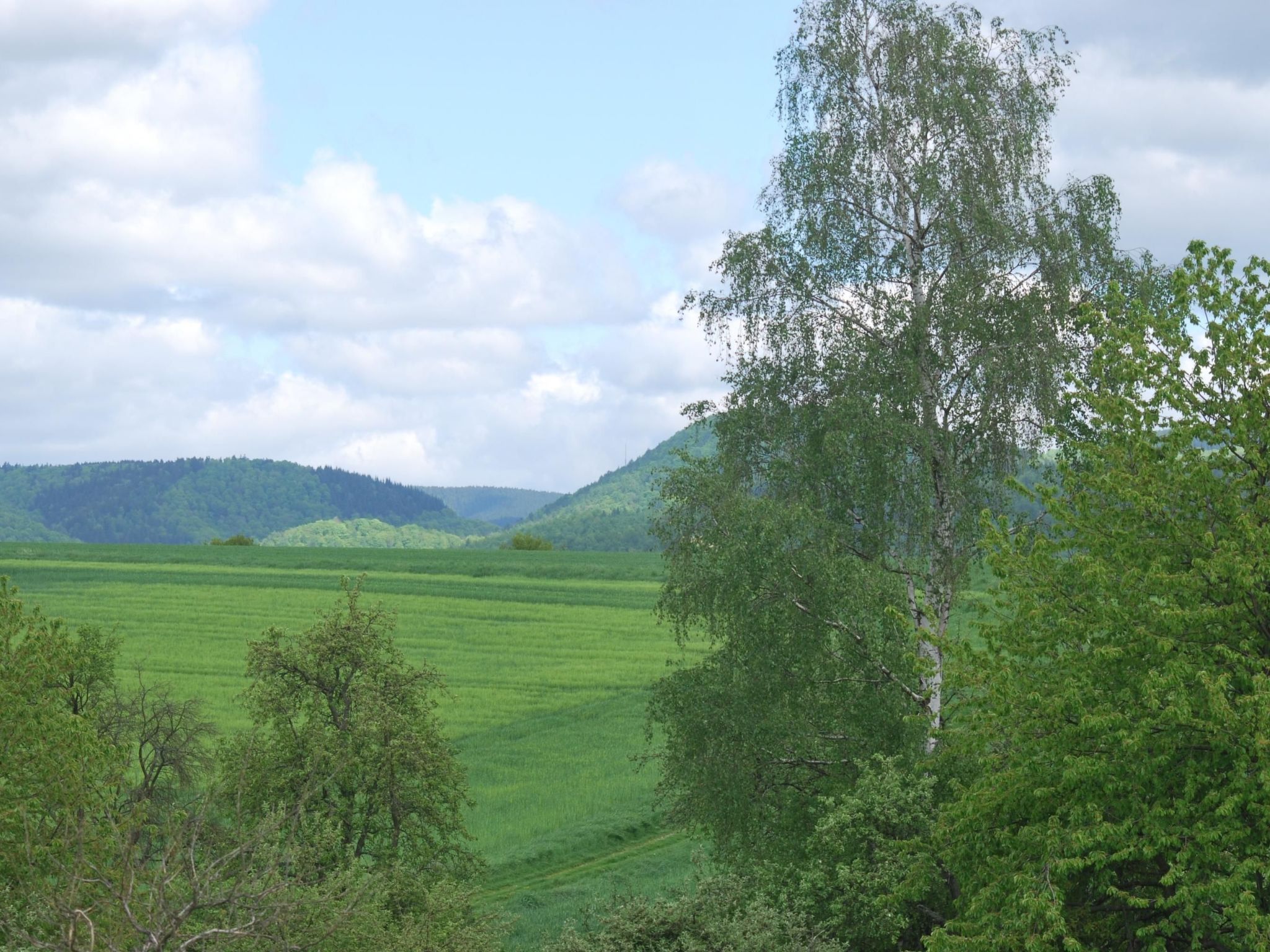 Fewo Stricker 22-Drinnen