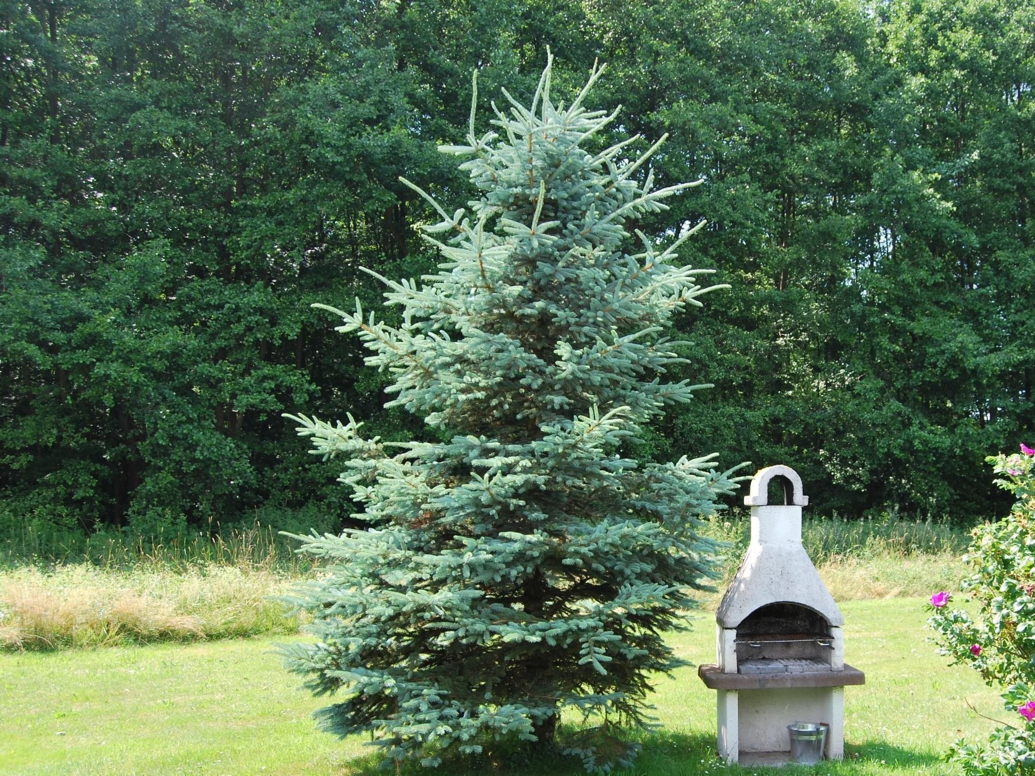 Fewo Stricker 11,-Drinnen