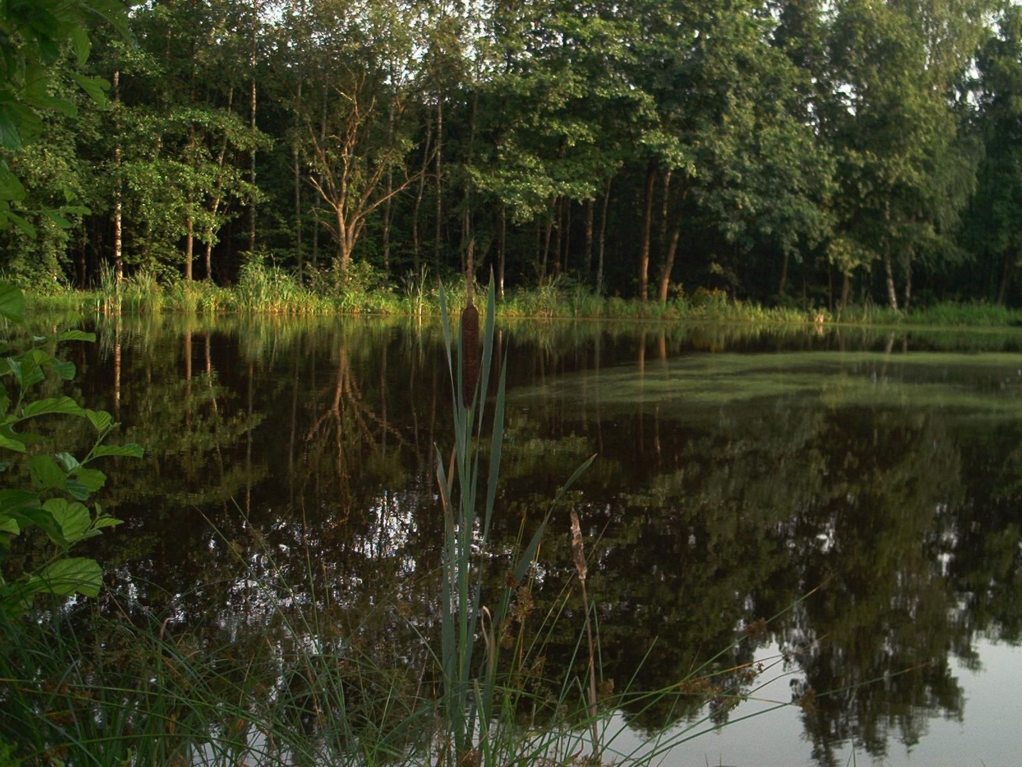 Fewo Stricker 13-Drinnen