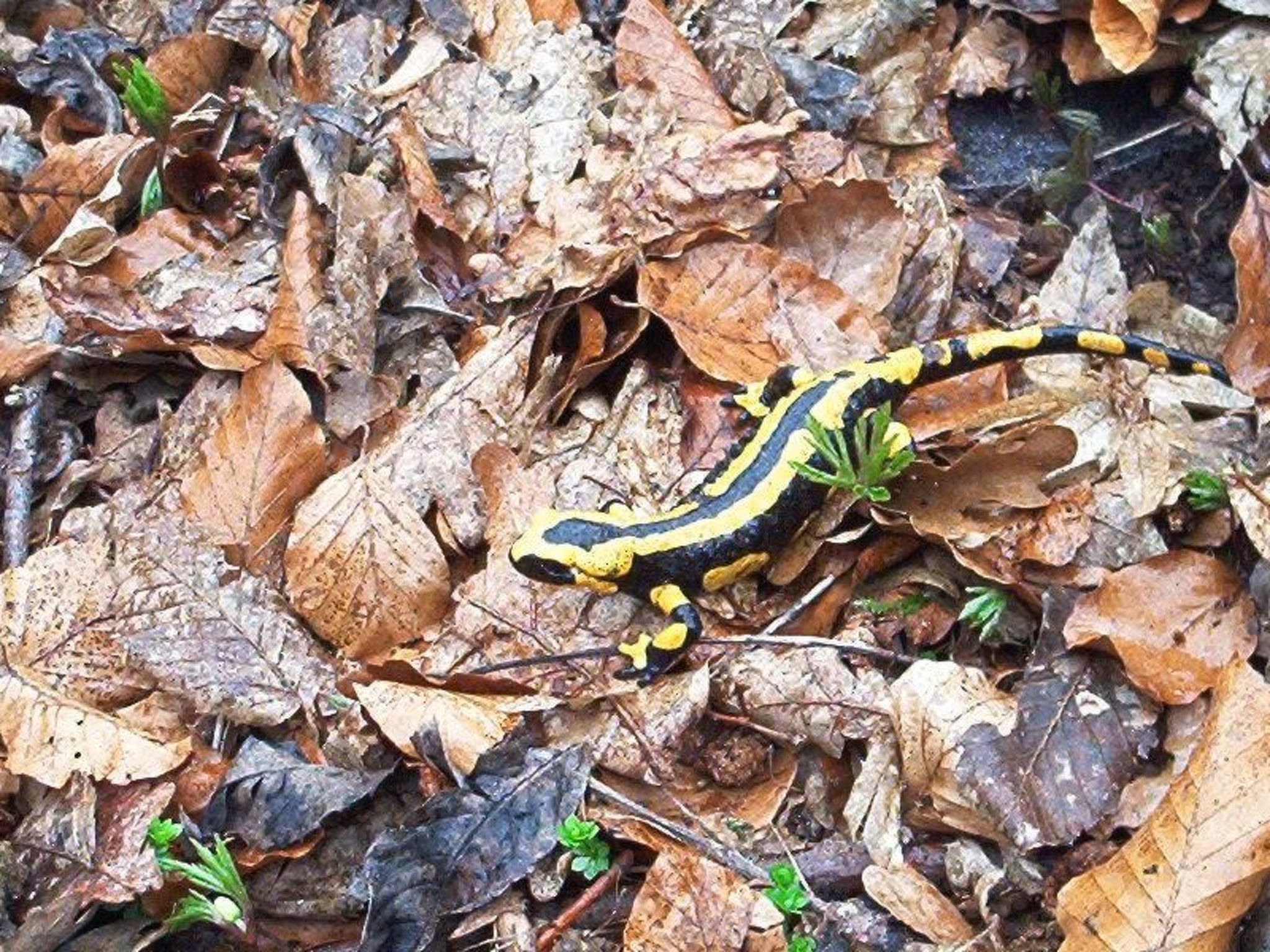 Fewo Stricker 13-Drinnen