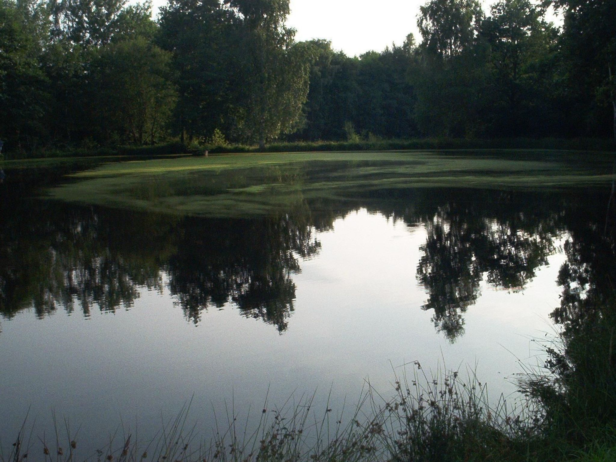 Fewo Stricker 31-Drinnen