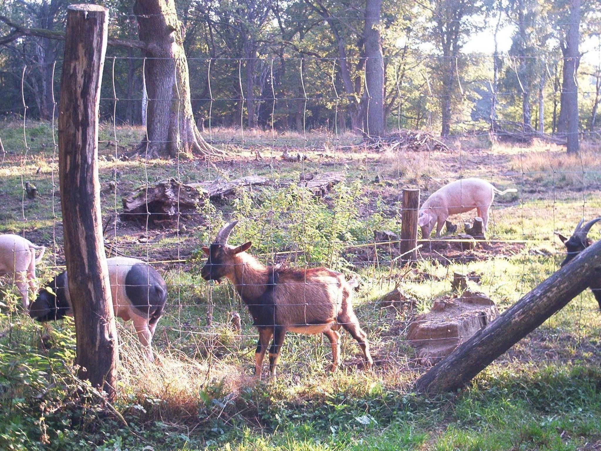 Fewo Stricker 31-Drinnen