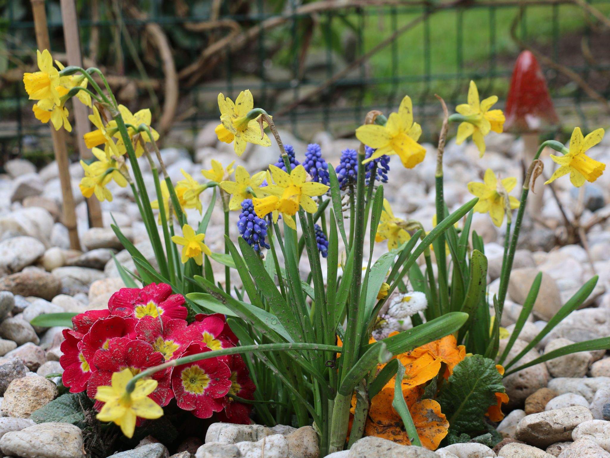 Modernes Ferienhaus mit Terrasse und Garten-Binnen