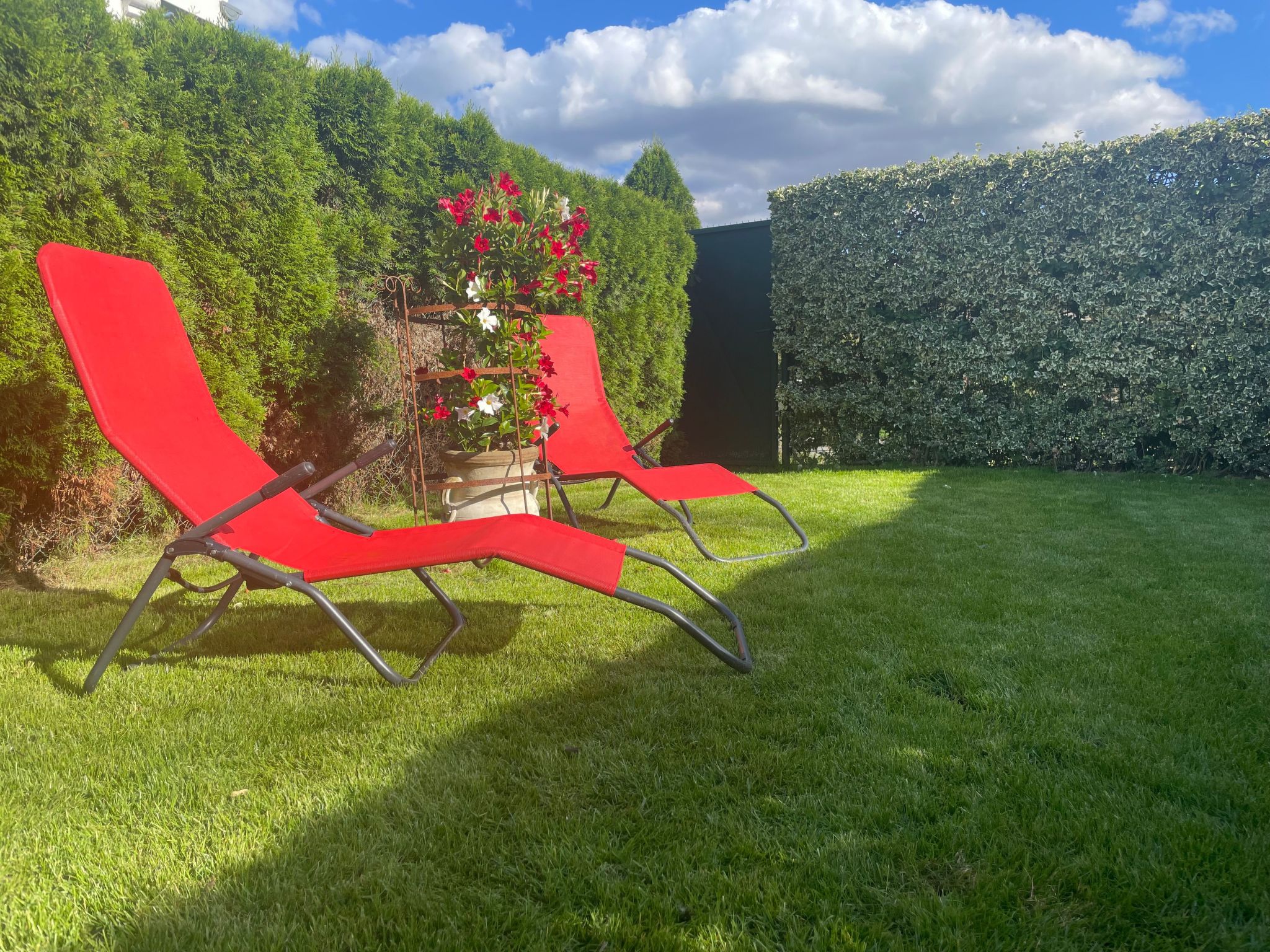 Modernes Ferienhaus mit Terrasse und Garten-Binnen