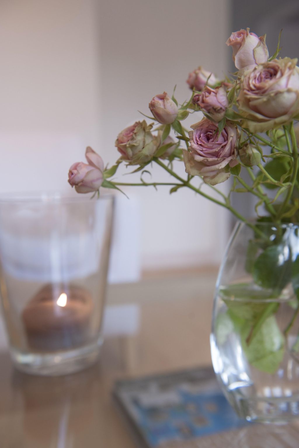 Wohlfühloase für Natur- und Gartenliebhaber-Drinnen