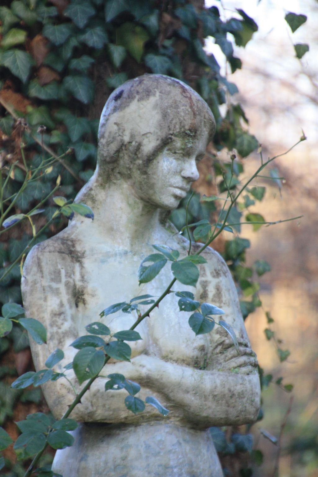 Wohlfühloase für Natur- und Gartenliebhaber-Drinnen