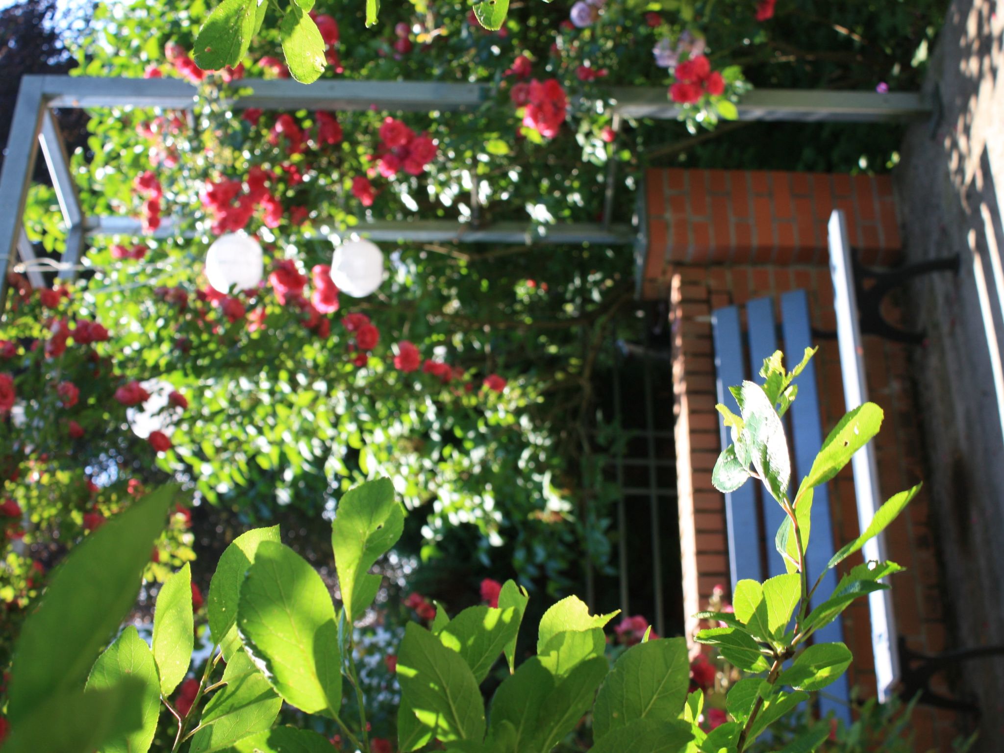 Wohlfühloase für Natur- und Gartenliebhaber-Drinnen