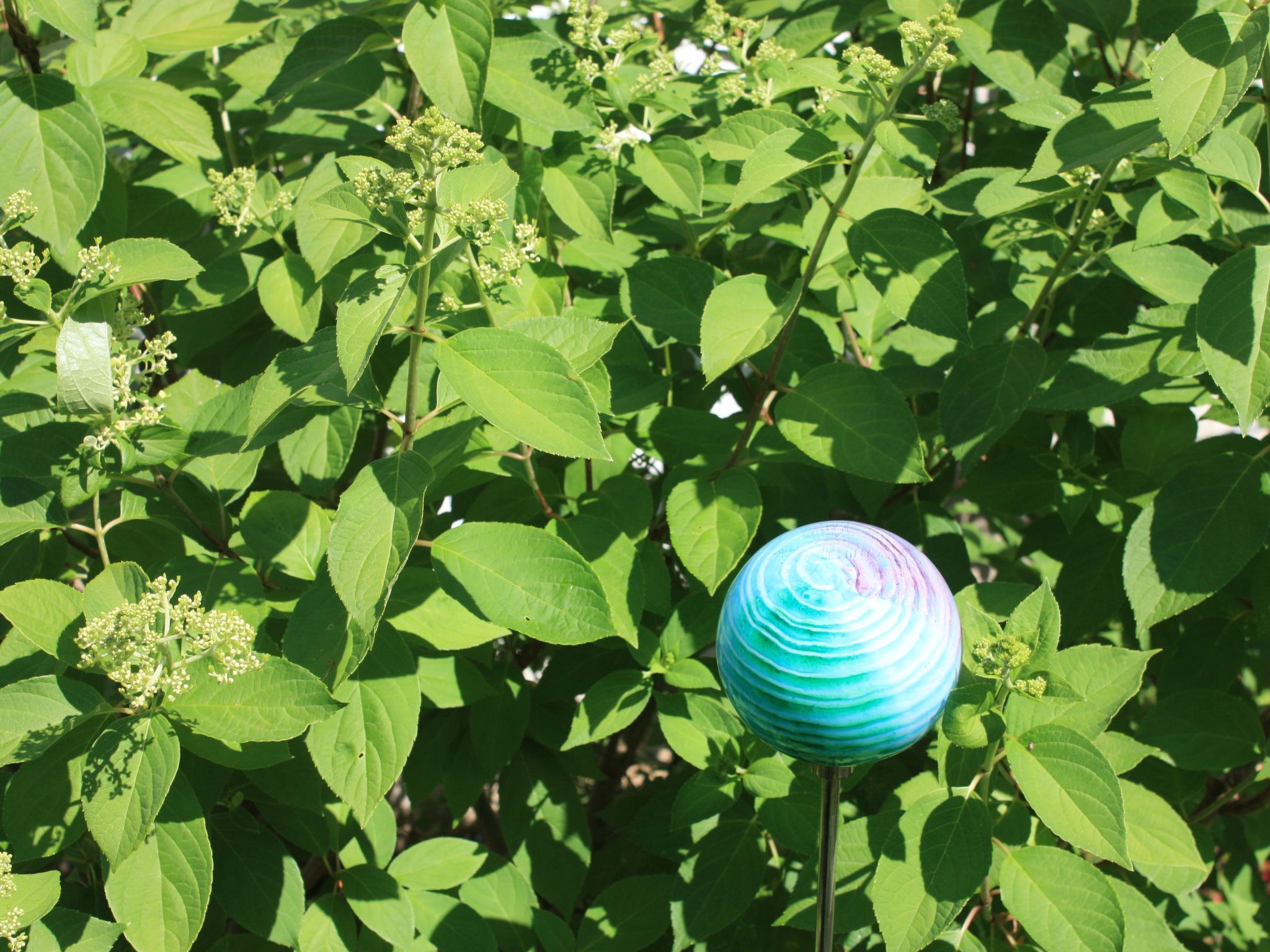 Wohlfühloase für Natur- und Gartenliebhaber-Drinnen