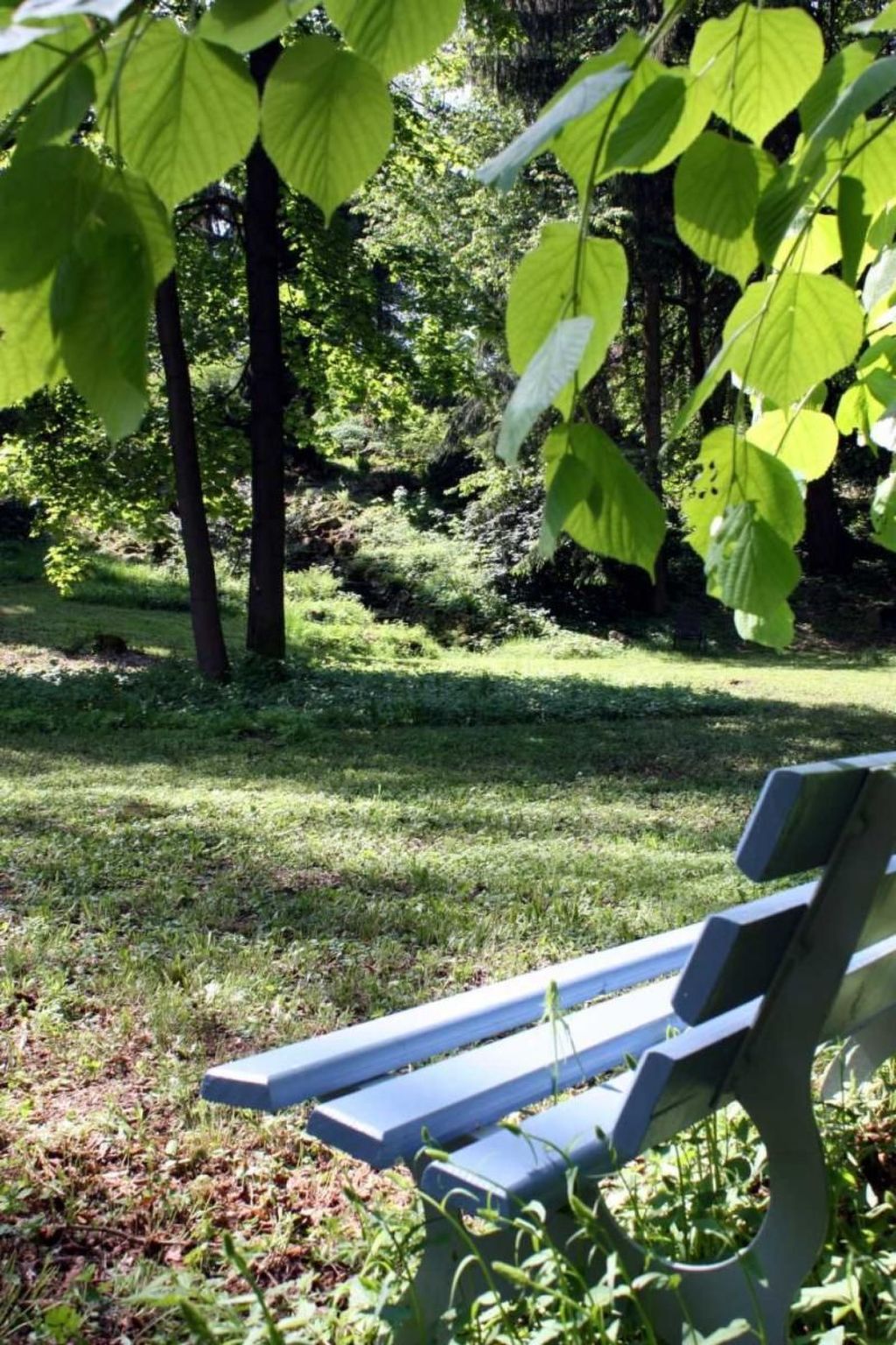 Wohlfühloase für Natur- und Gartenliebhaber-Drinnen