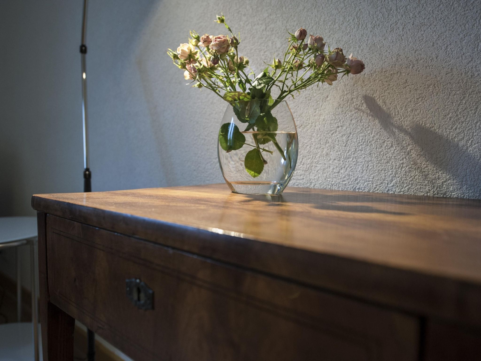 Wohlfühloase für Natur- und Gartenliebhaber-Drinnen