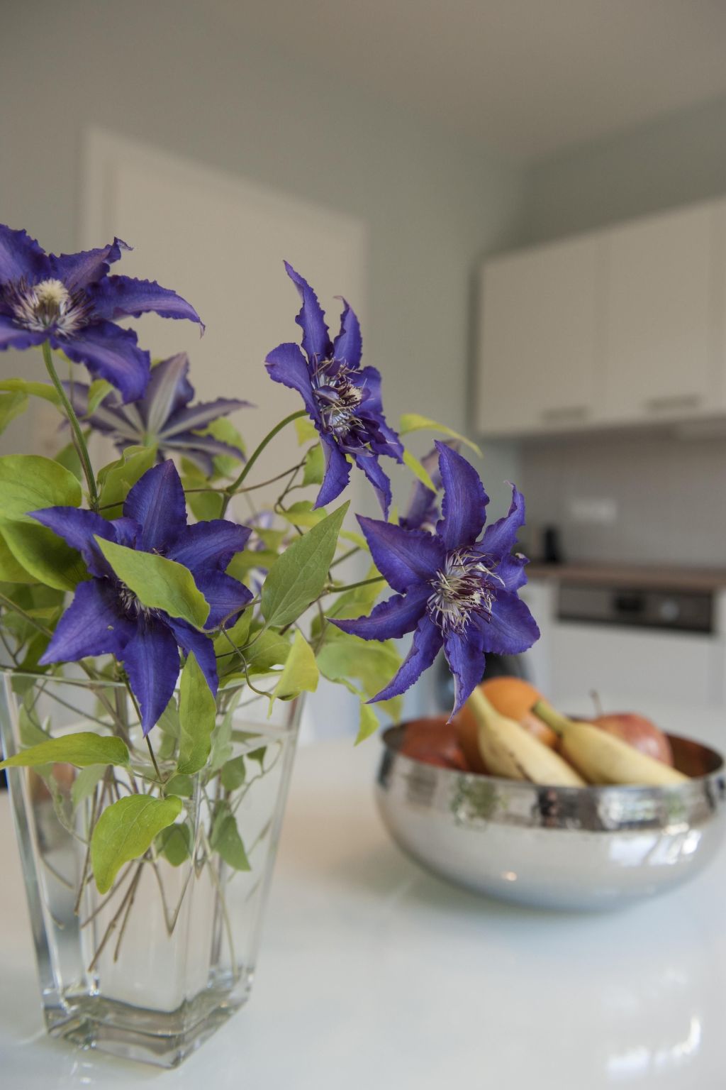 Wohlfühloase für Natur- und Gartenliebhaber-Drinnen