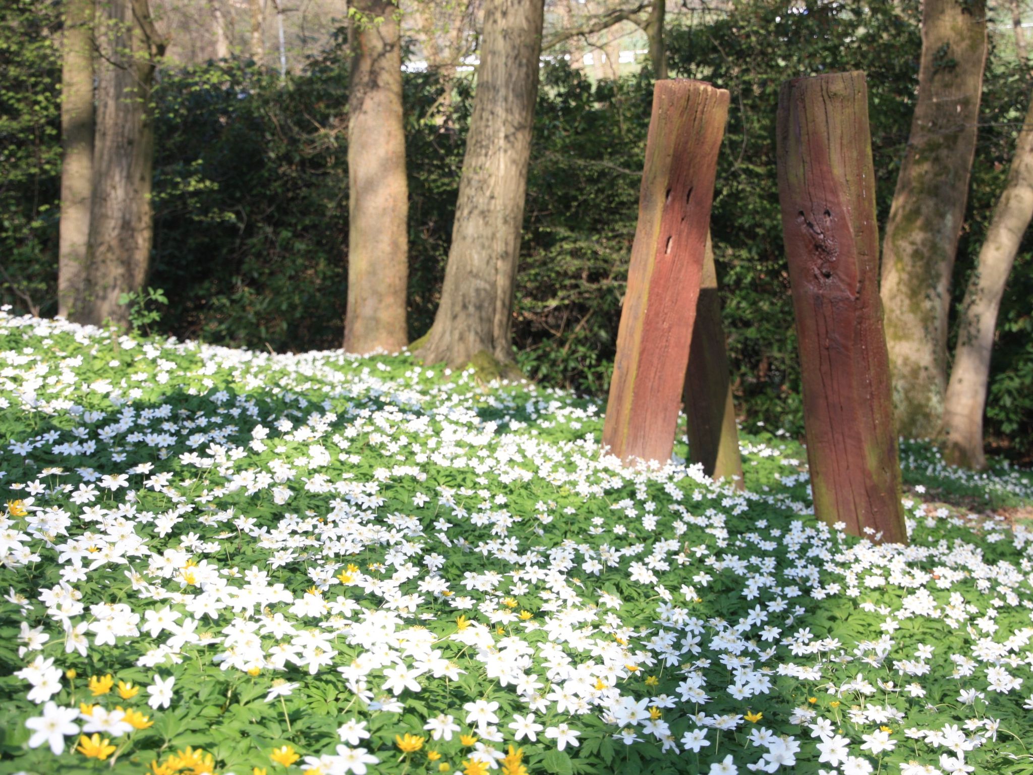 Wohlfühloase für Natur- und Gartenliebhaber-Drinnen