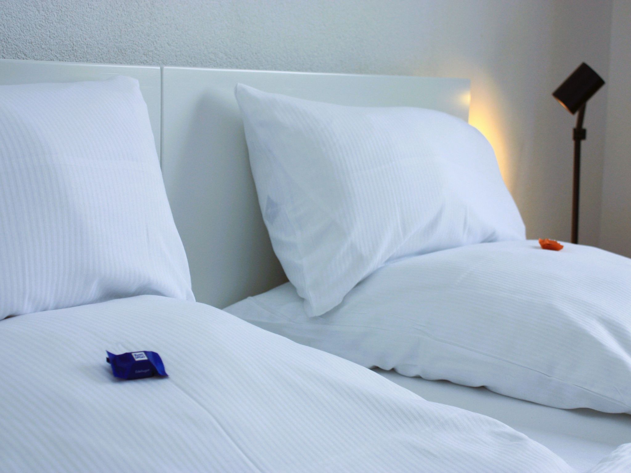 Wohlfühloase für Natur- und Gartenliebhaber-Drinnen