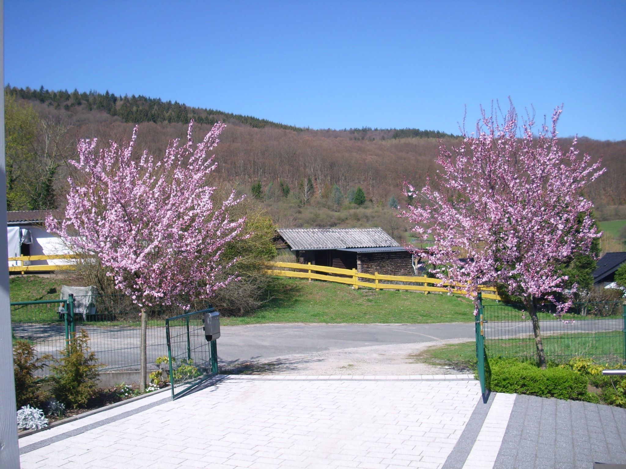 Ingrid-Image-tags.info