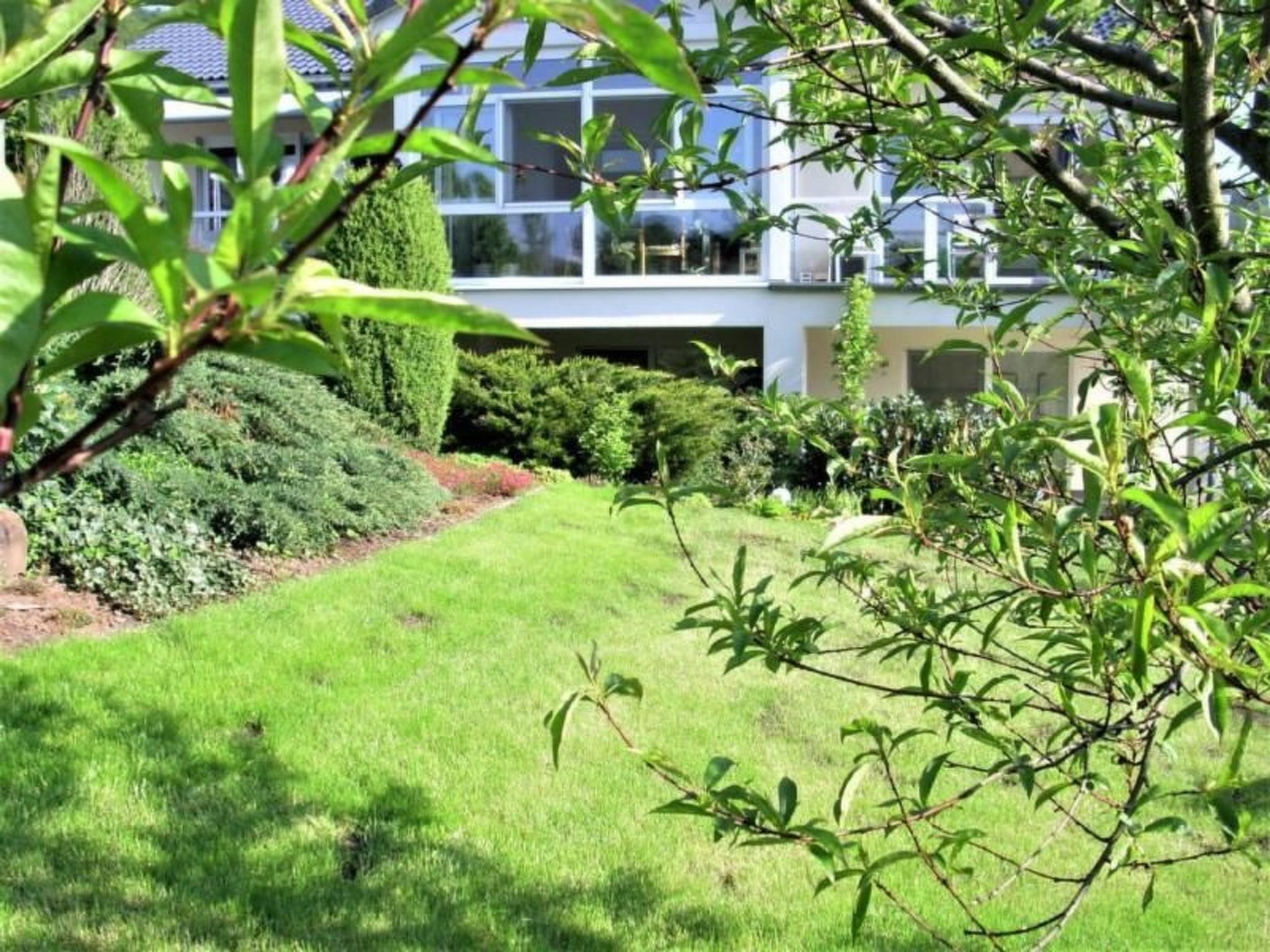 Ingrid-Image-tags.info